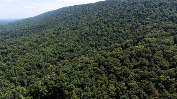 $74,560 | Tbd Brunk Spring Lane, Broadway, VA 22815