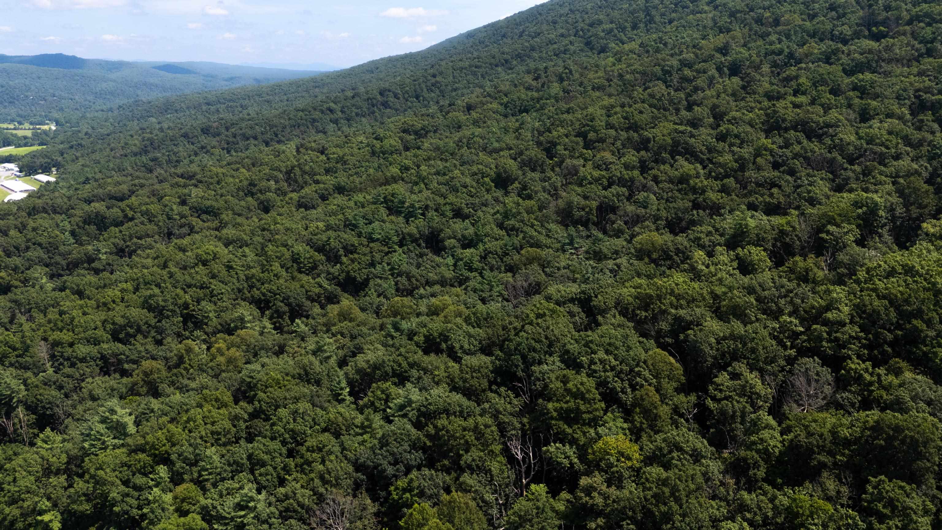 Tbd Brunk Spring Lane Broadway, VA 22815 - Photo 13 of 20