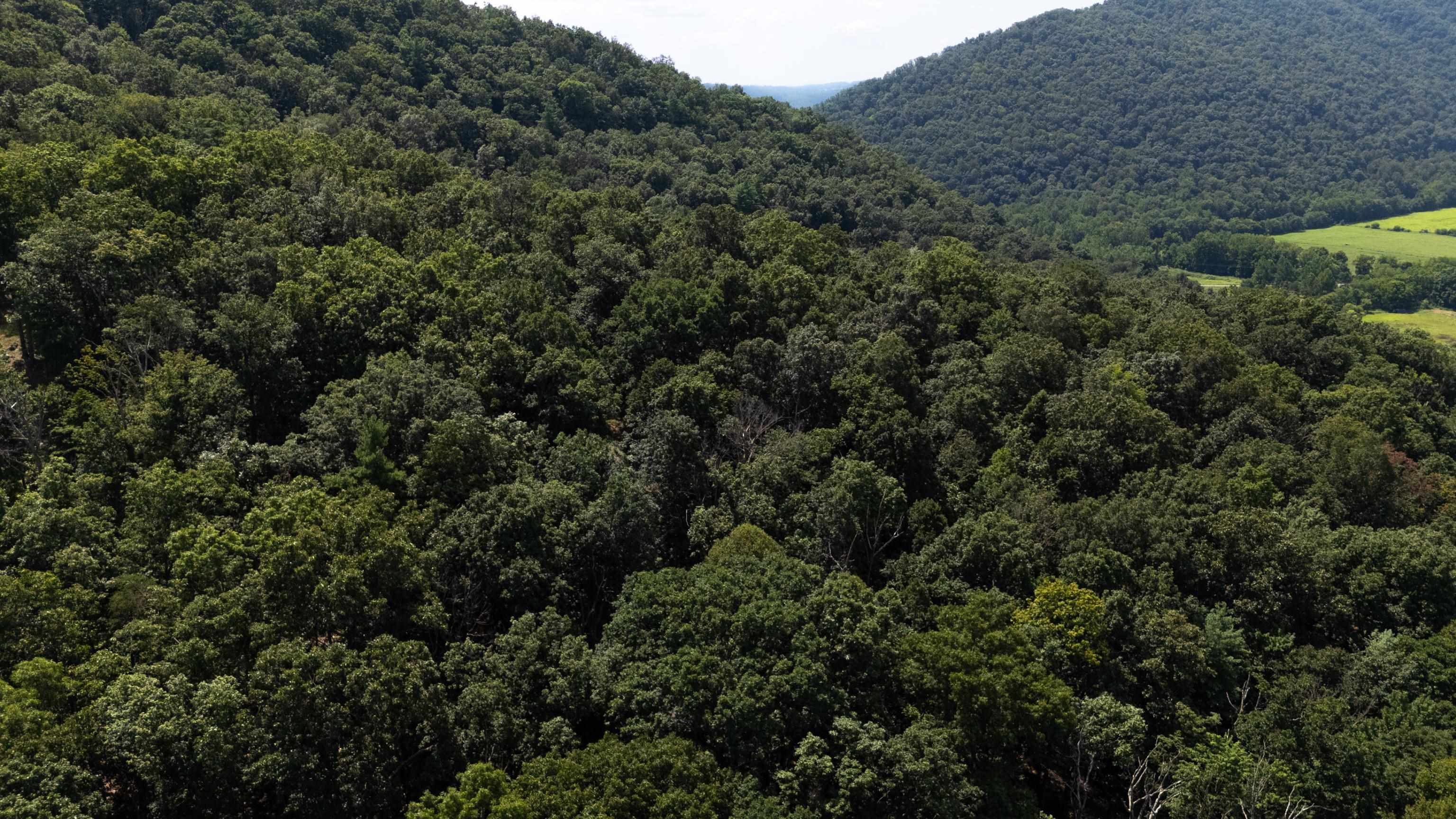 Tbd Brunk Spring Lane Broadway, VA 22815 - Photo 15 of 20