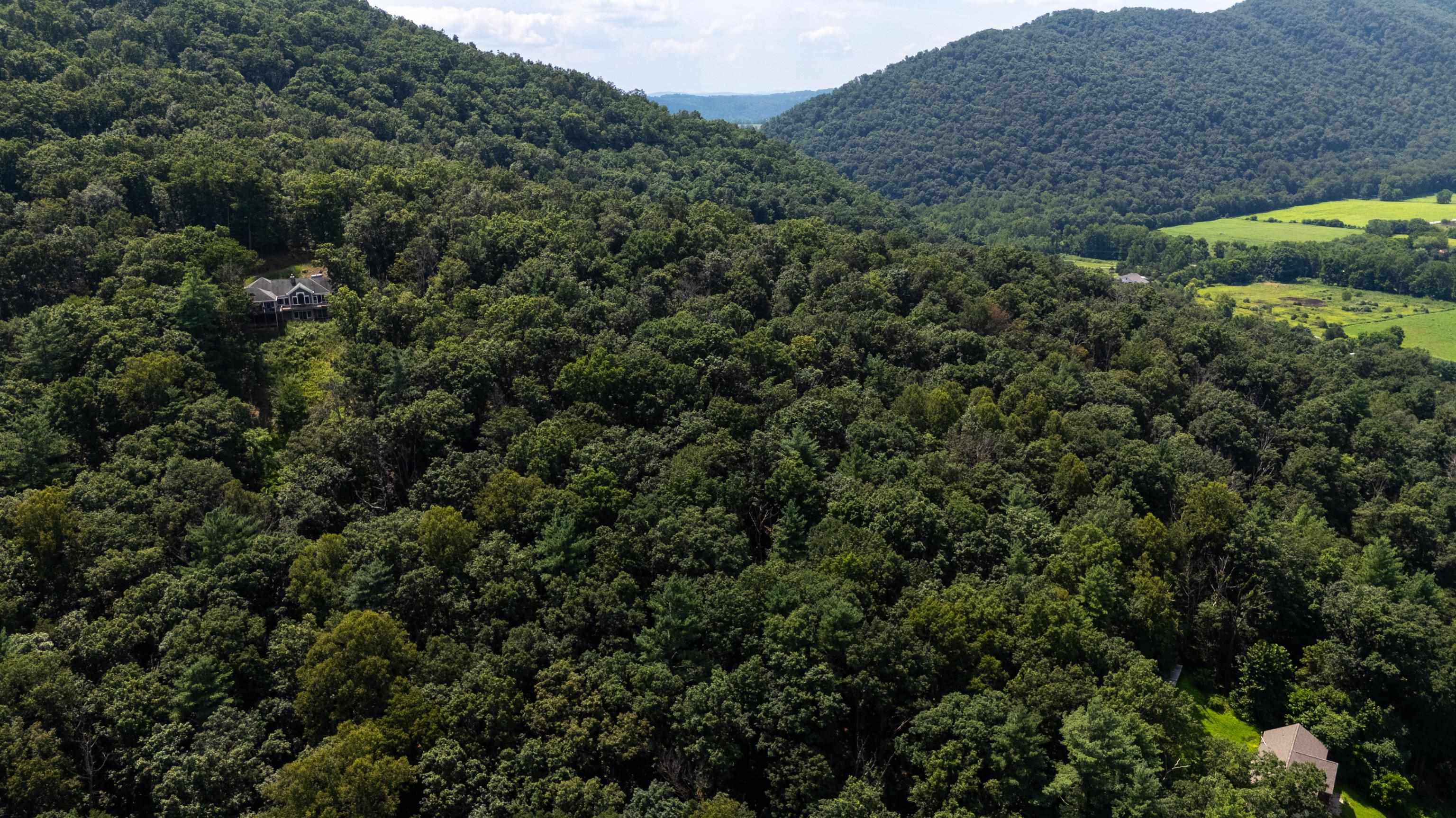 Tbd Brunk Spring Lane Broadway, VA 22815 - Photo 17 of 20