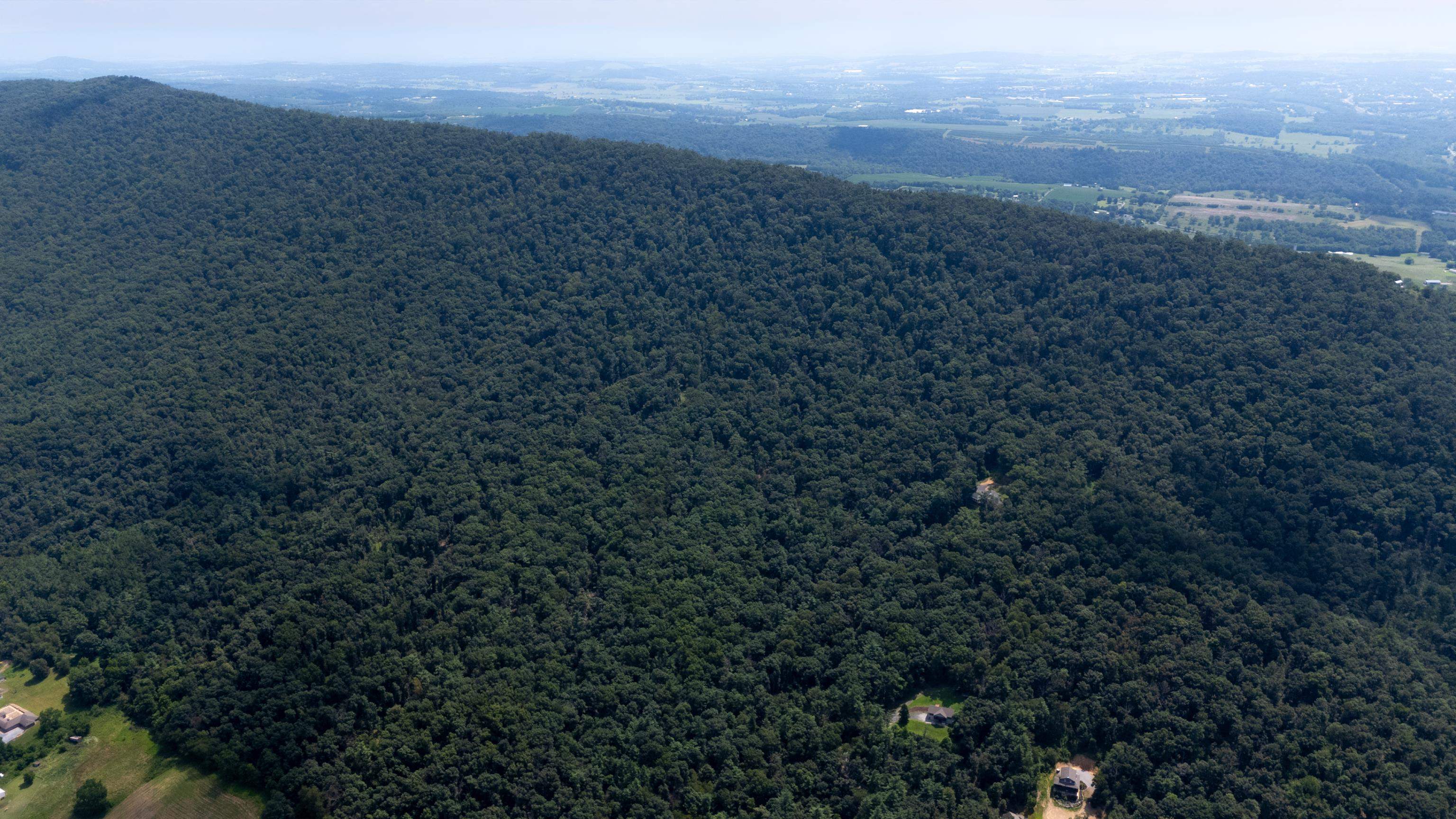 Tbd Brunk Spring Lane Broadway, VA 22815 - Photo 18 of 20