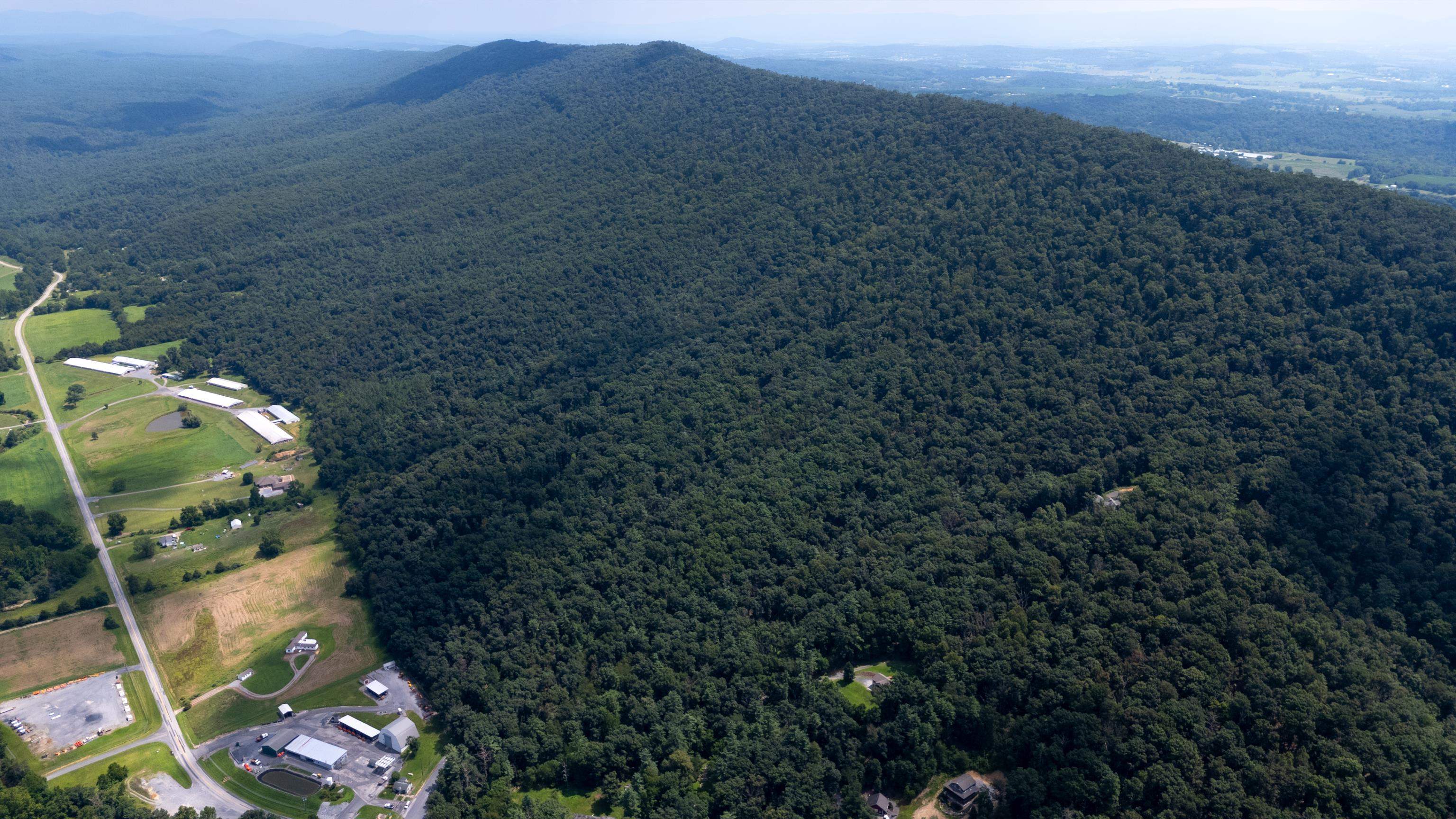 Tbd Brunk Spring Lane Broadway, VA 22815 - Photo 19 of 20