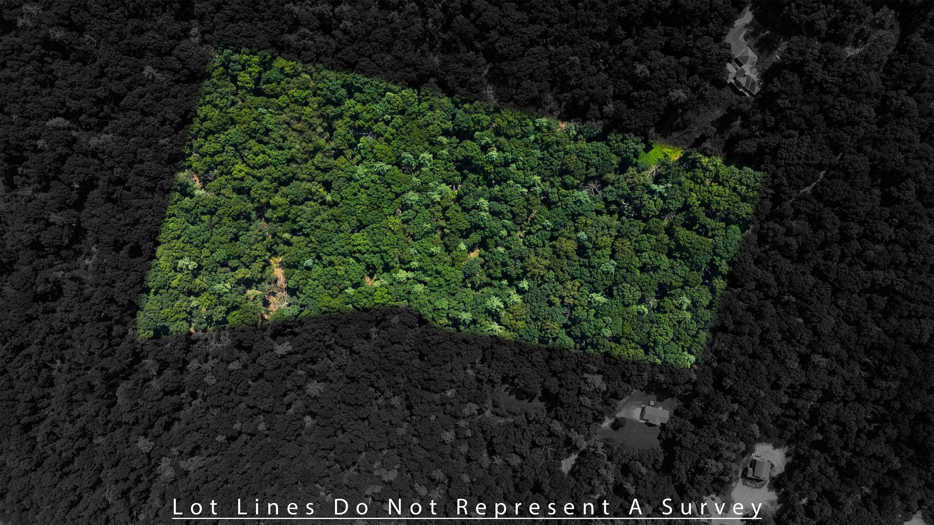 Tbd Brunk Spring Lane Broadway, VA 22815 - Photo 2 of 20