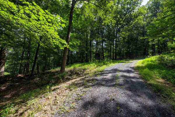 $74,560 | Tbd Brunk Spring Lane, Broadway, VA 22815