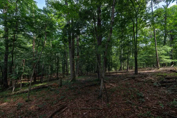 $74,560 | Tbd Brunk Spring Lane, Broadway, VA 22815