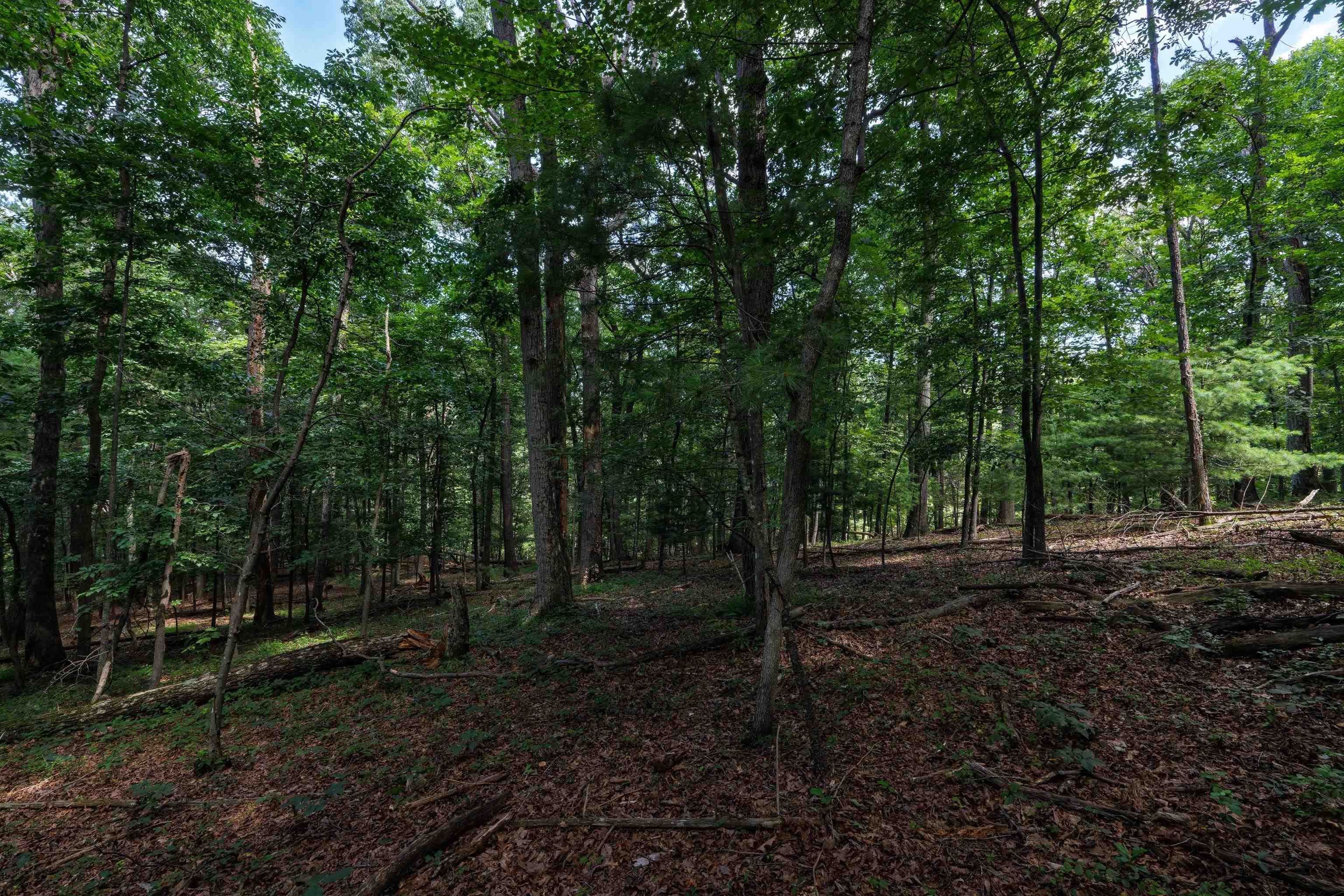 Tbd Brunk Spring Lane Broadway, VA 22815 - Photo 6 of 20