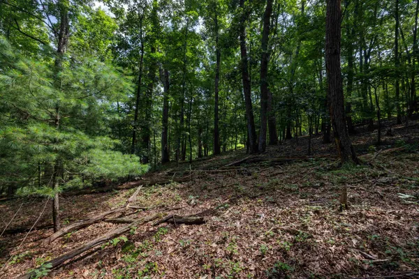 $74,560 | Tbd Brunk Spring Lane, Broadway, VA 22815