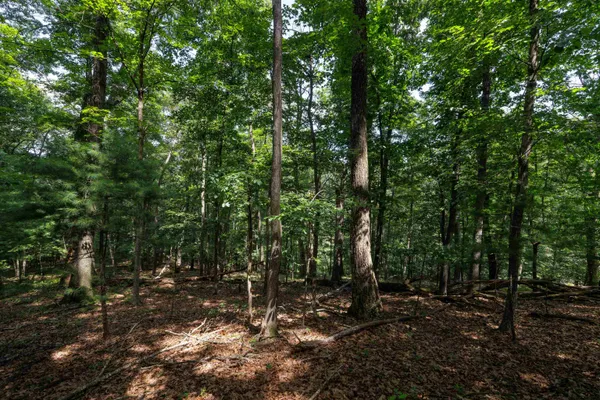 $74,560 | Tbd Brunk Spring Lane, Broadway, VA 22815