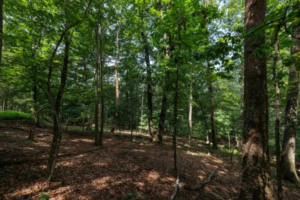 $74,560 | Tbd Brunk Spring Lane, Broadway, VA 22815