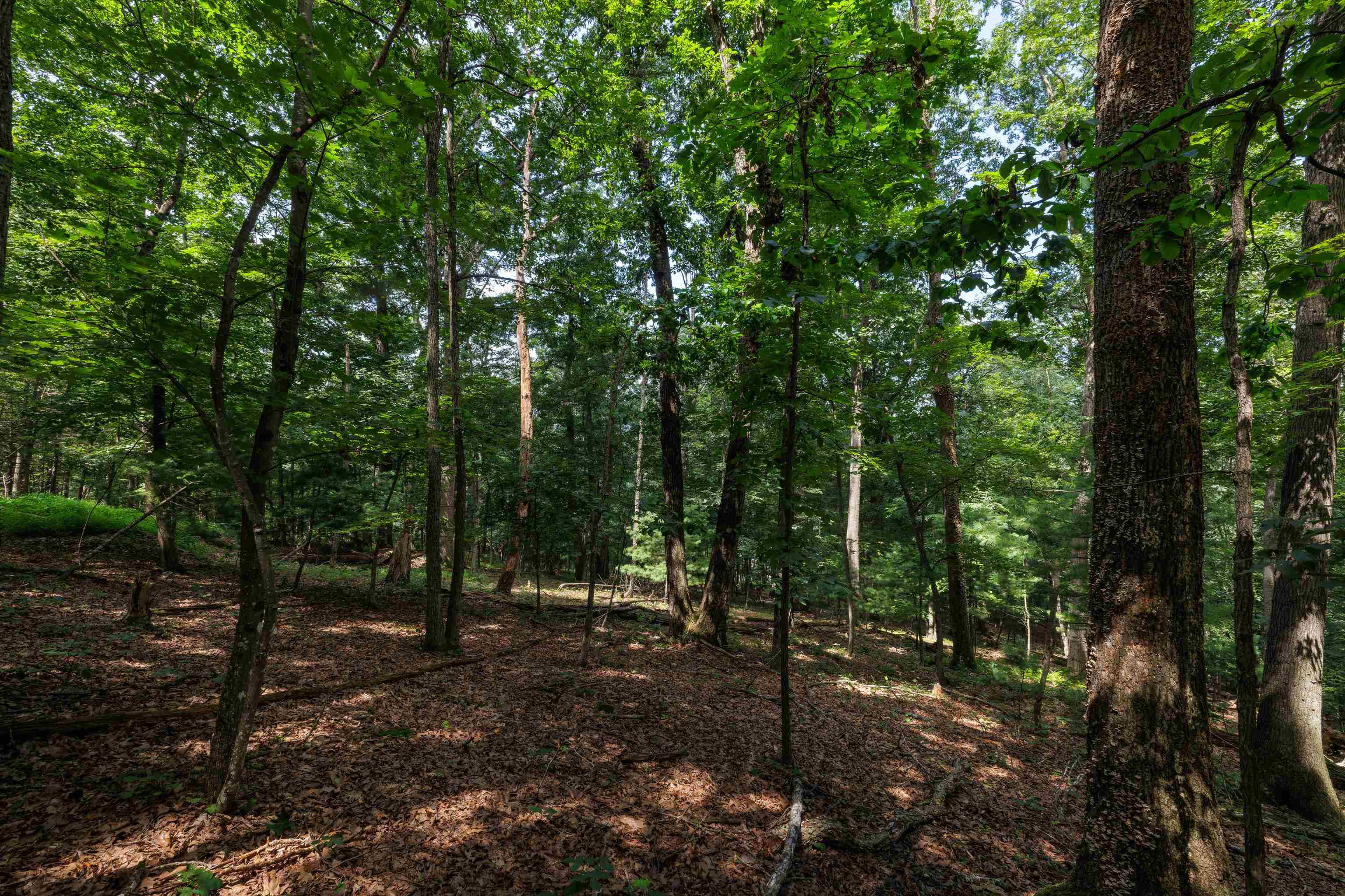 Tbd Brunk Spring Lane Broadway, VA 22815 - Photo 9 of 20