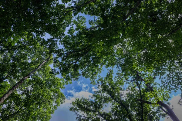 $74,560 | Tbd Brunk Spring Lane, Broadway, VA 22815