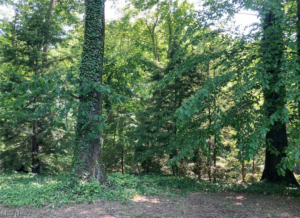 3574 Atherstone Road Cleveland, OH 44121 - Photo 33 of 35