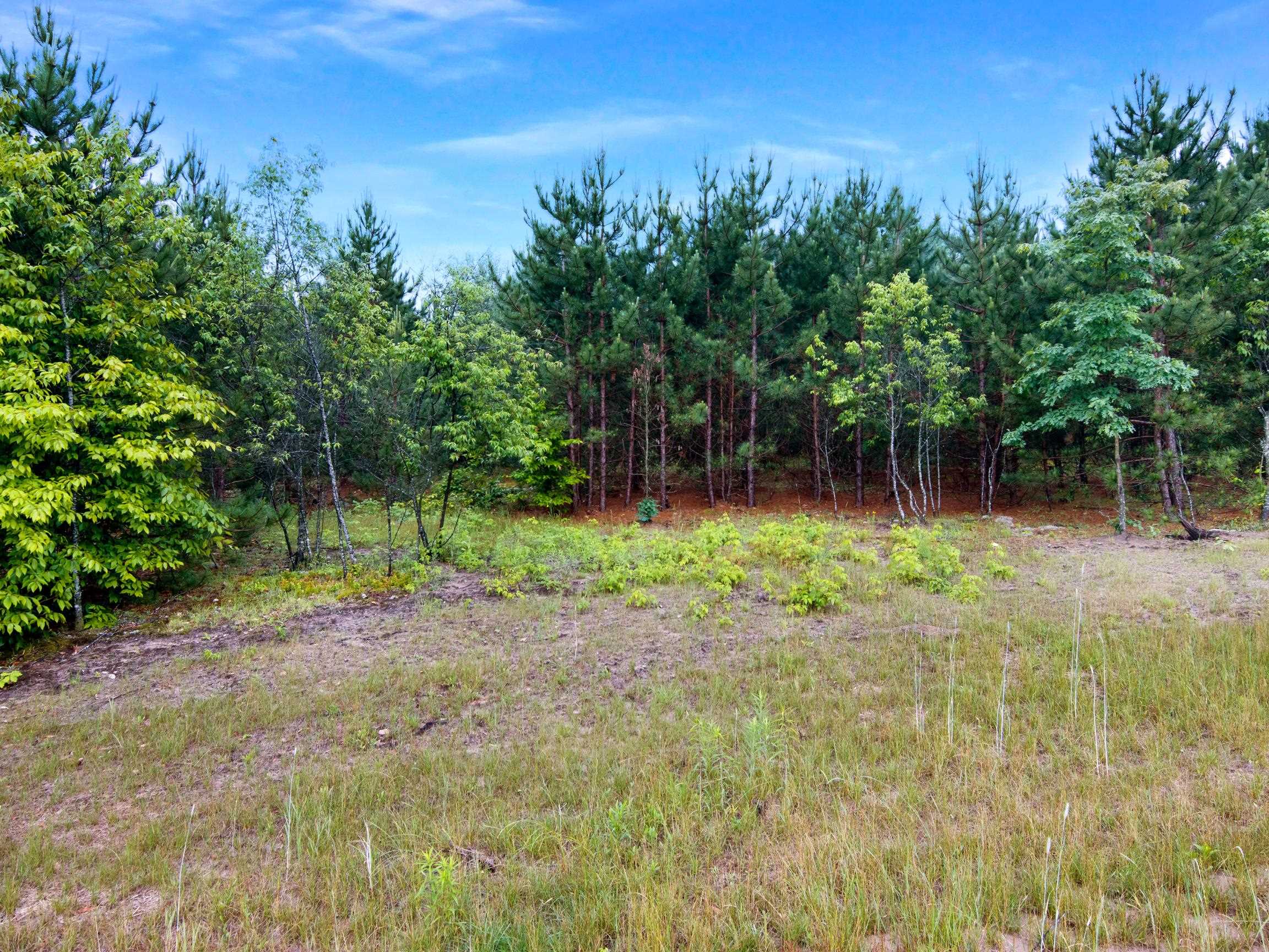 0 Maple Farms Lane Kingsley, MI 49649 - Photo 13 of 21 1947367-d2e72d0b-9923-43cf-9991-596deec1a993.JPG