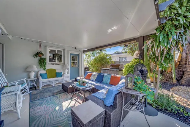 a view of a backyard with plants and palm trees