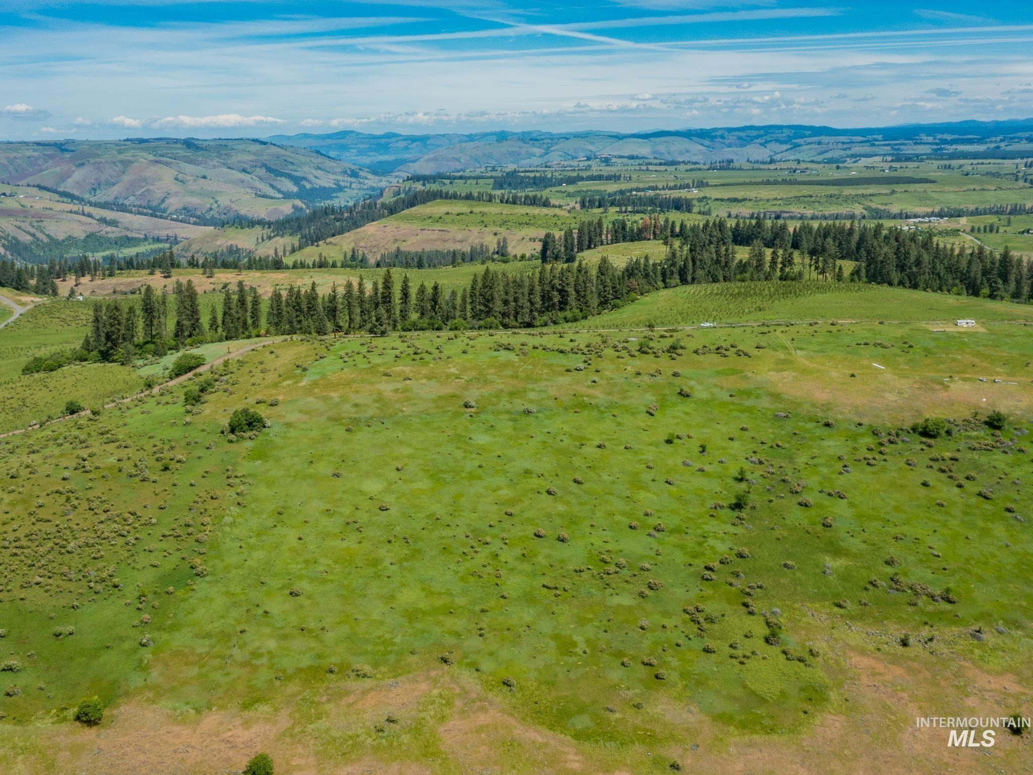 Tbd Brotnov Road Stites, ID 83552 - Photo 13 of 27 Gallery Image 13