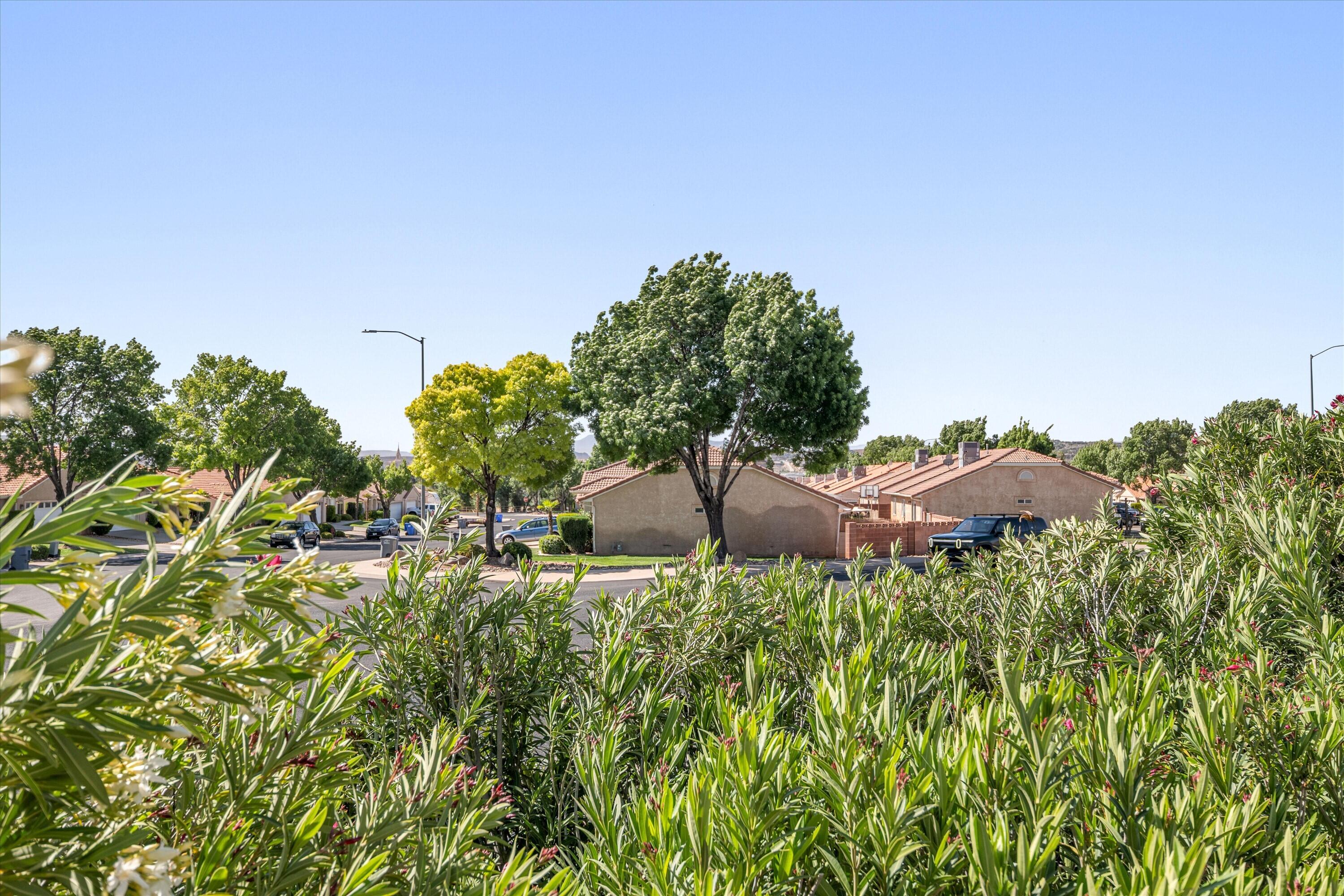 2721 East Riverside Drive, Unit 38 St. George, UT 84790 - Photo 26 of 47 Backyard, Temple View