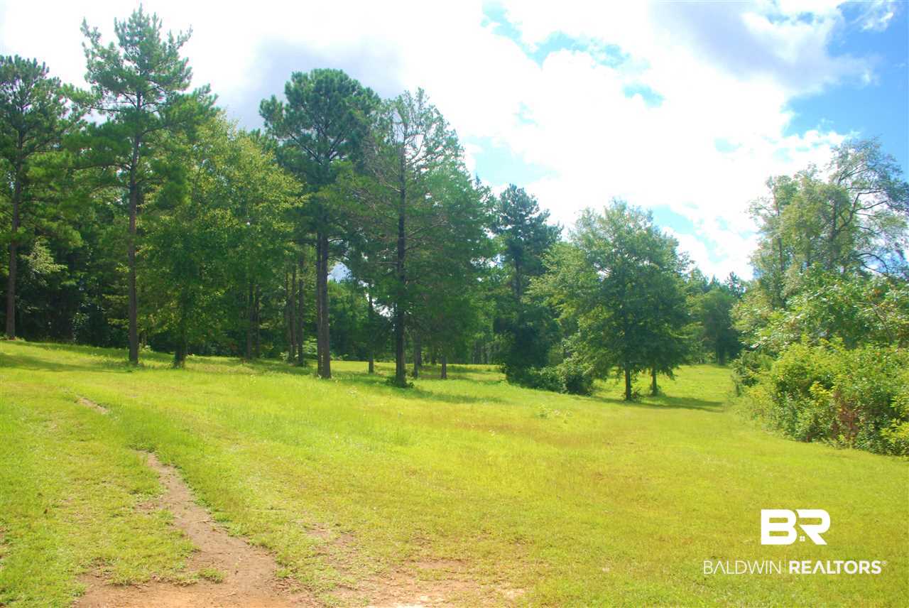 249 Camp Dixon Road Brewton, AL 36426 - Photo 25 of 48