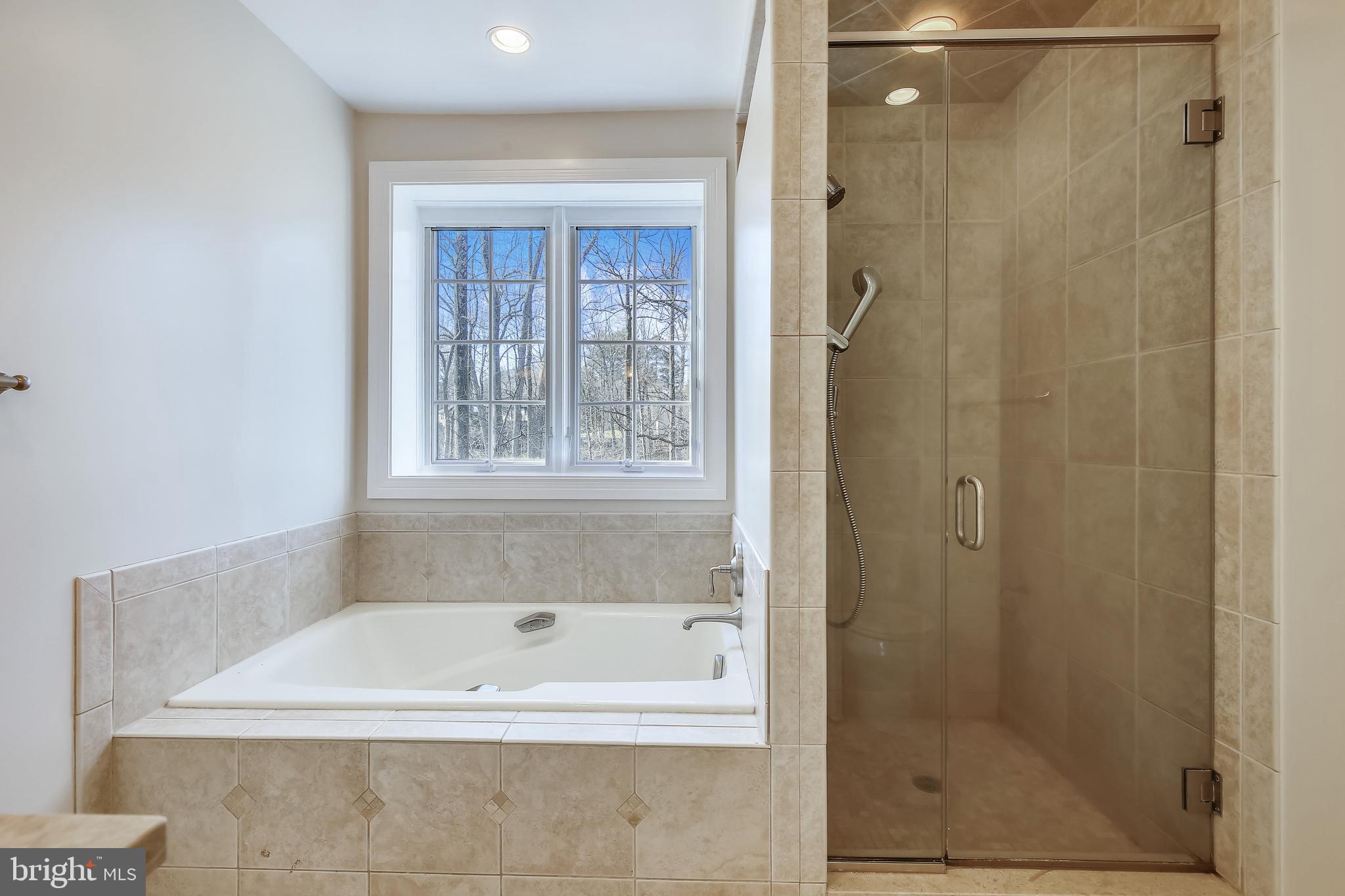 1716 Besley Road Vienna, VA 22182 - Photo 60 of 90 Primary Bath with Tub and Shower Stall