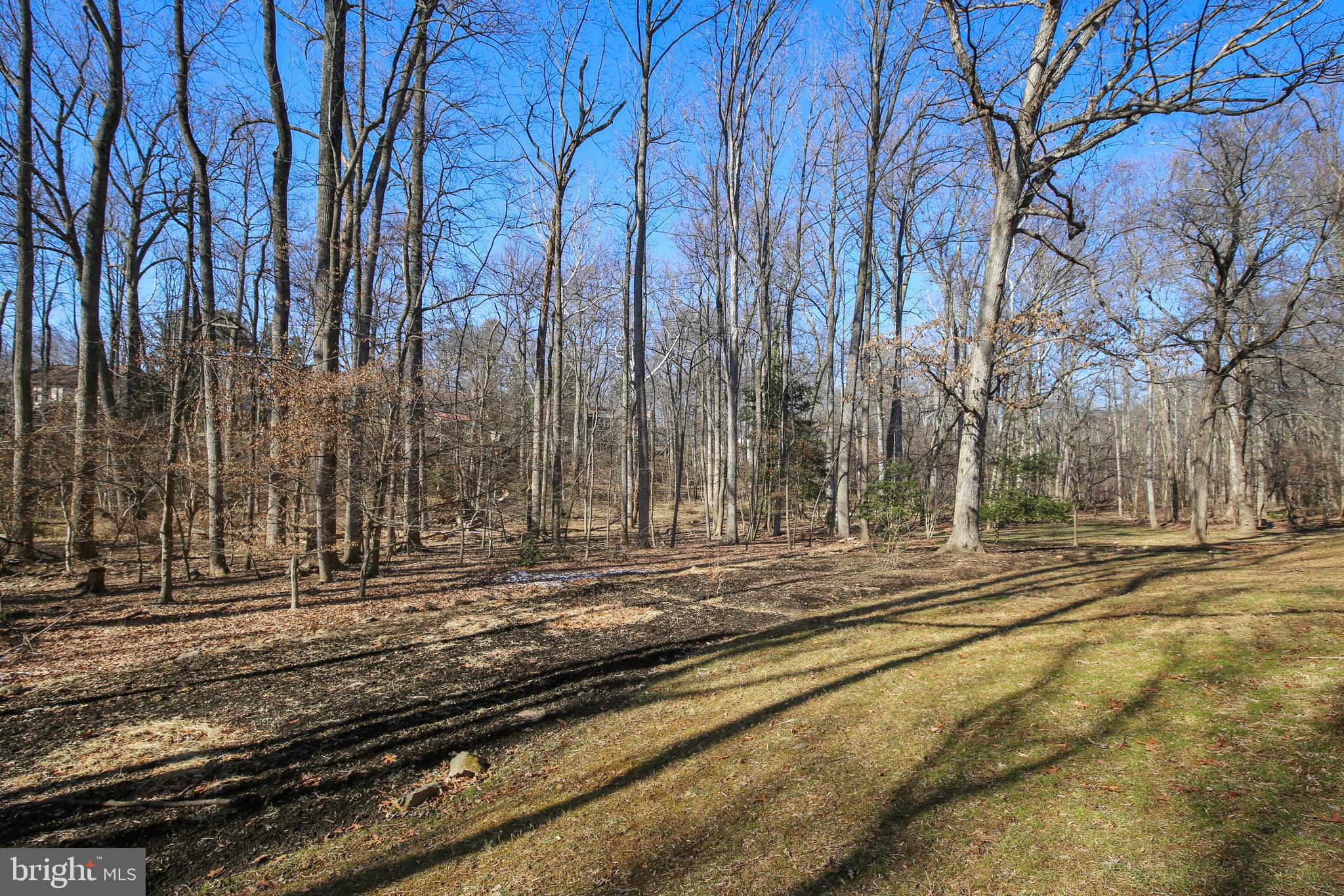 1716 Besley Road Vienna, VA 22182 - Photo 7 of 90 Wooded Lot