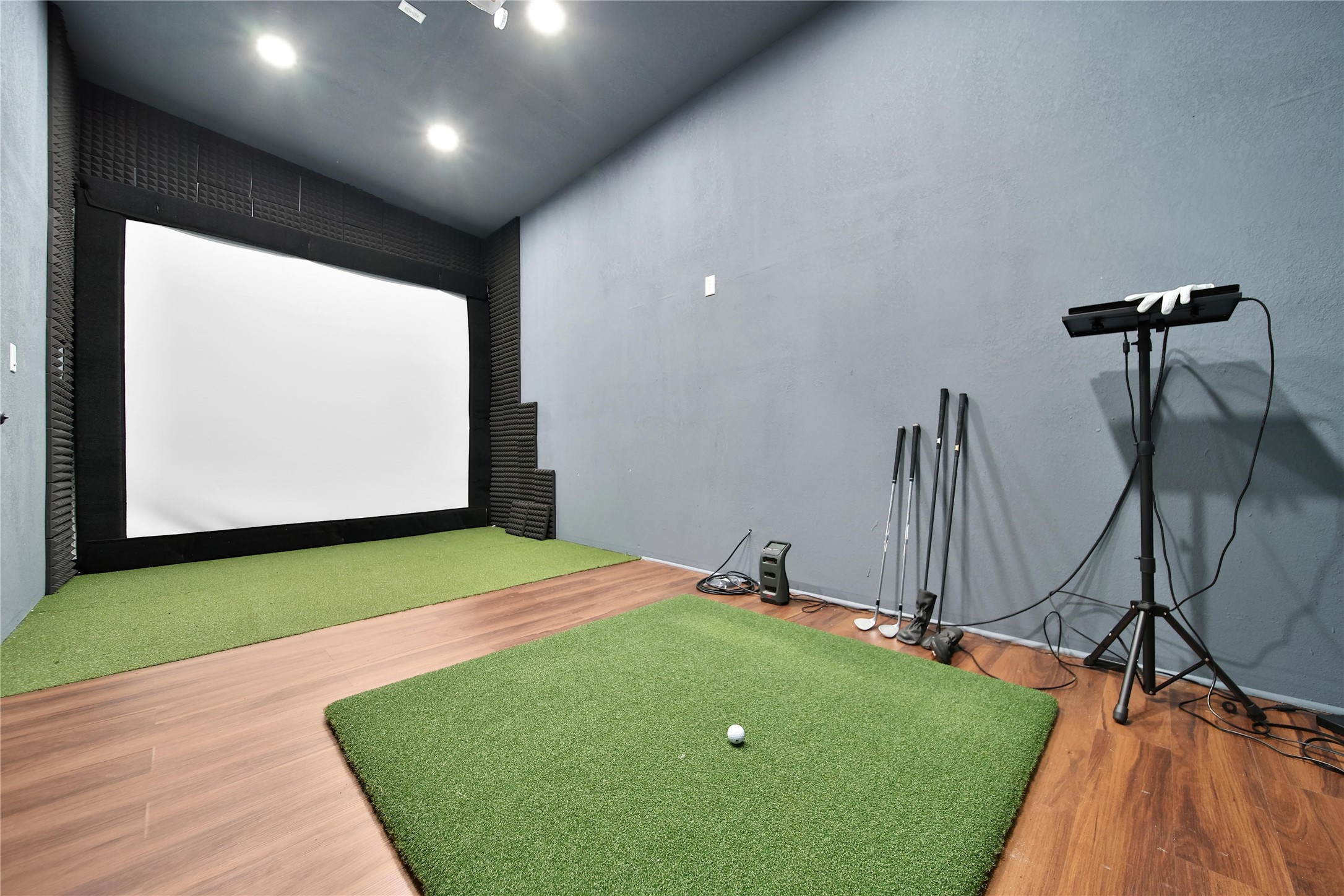 819 West 24th Street, Unit D Houston, TX 77008 - Photo 24 of 27 Golf Simulator