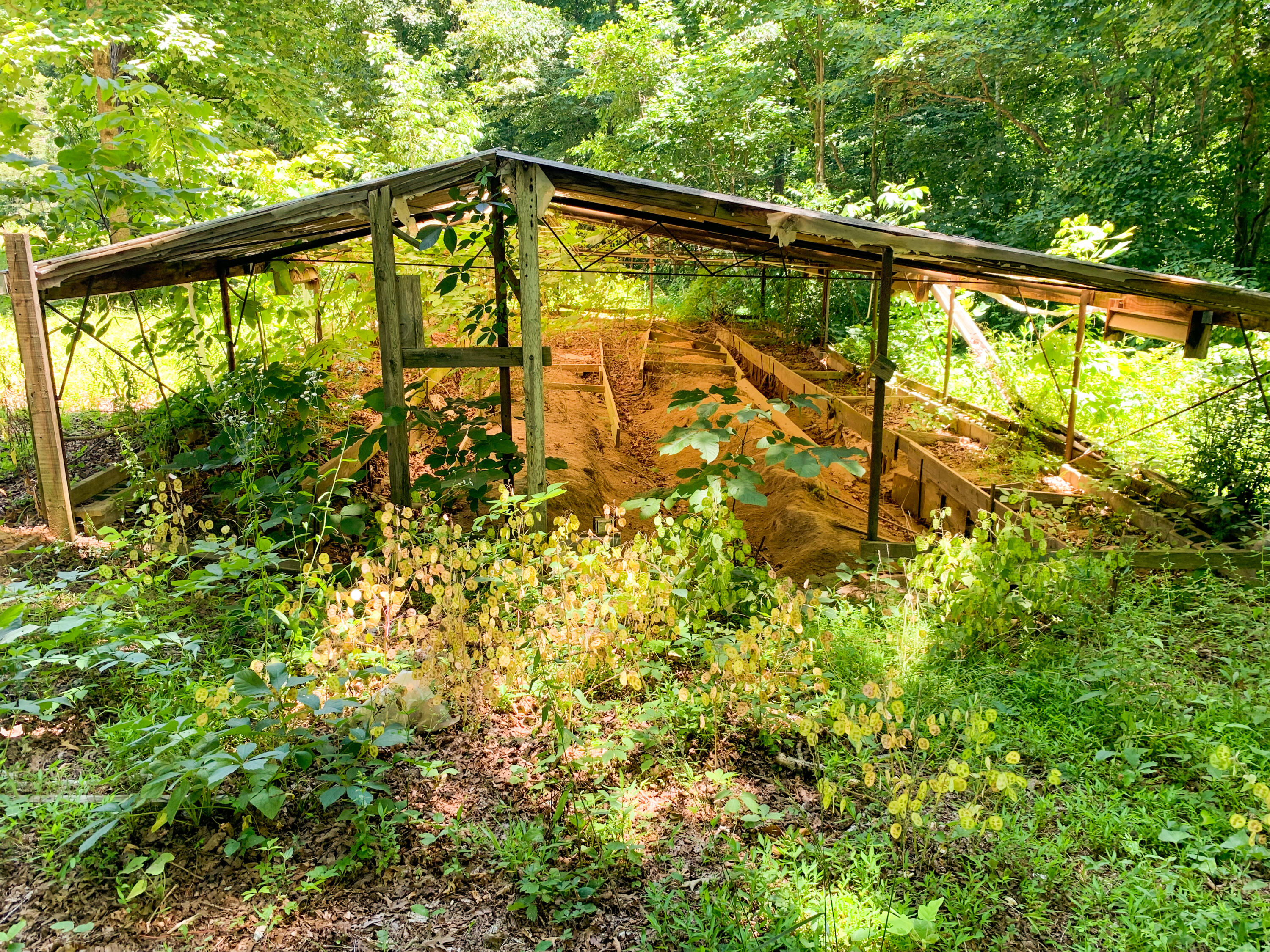 597 Shaver Road Dayton, TN 37321 - Photo 17 of 22 IMG_3917