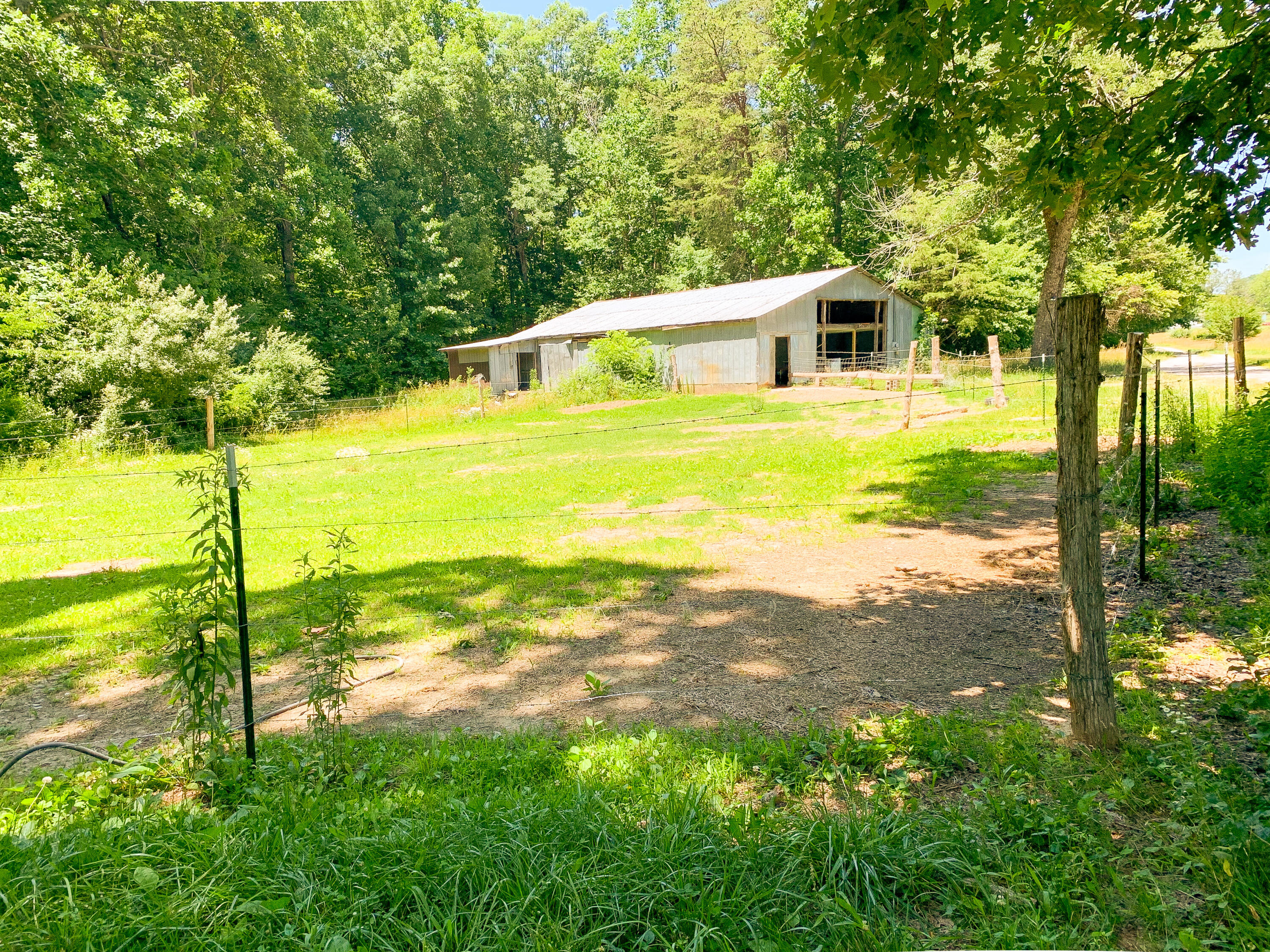 597 Shaver Road Dayton, TN 37321 - Photo 19 of 22 IMG_3921
