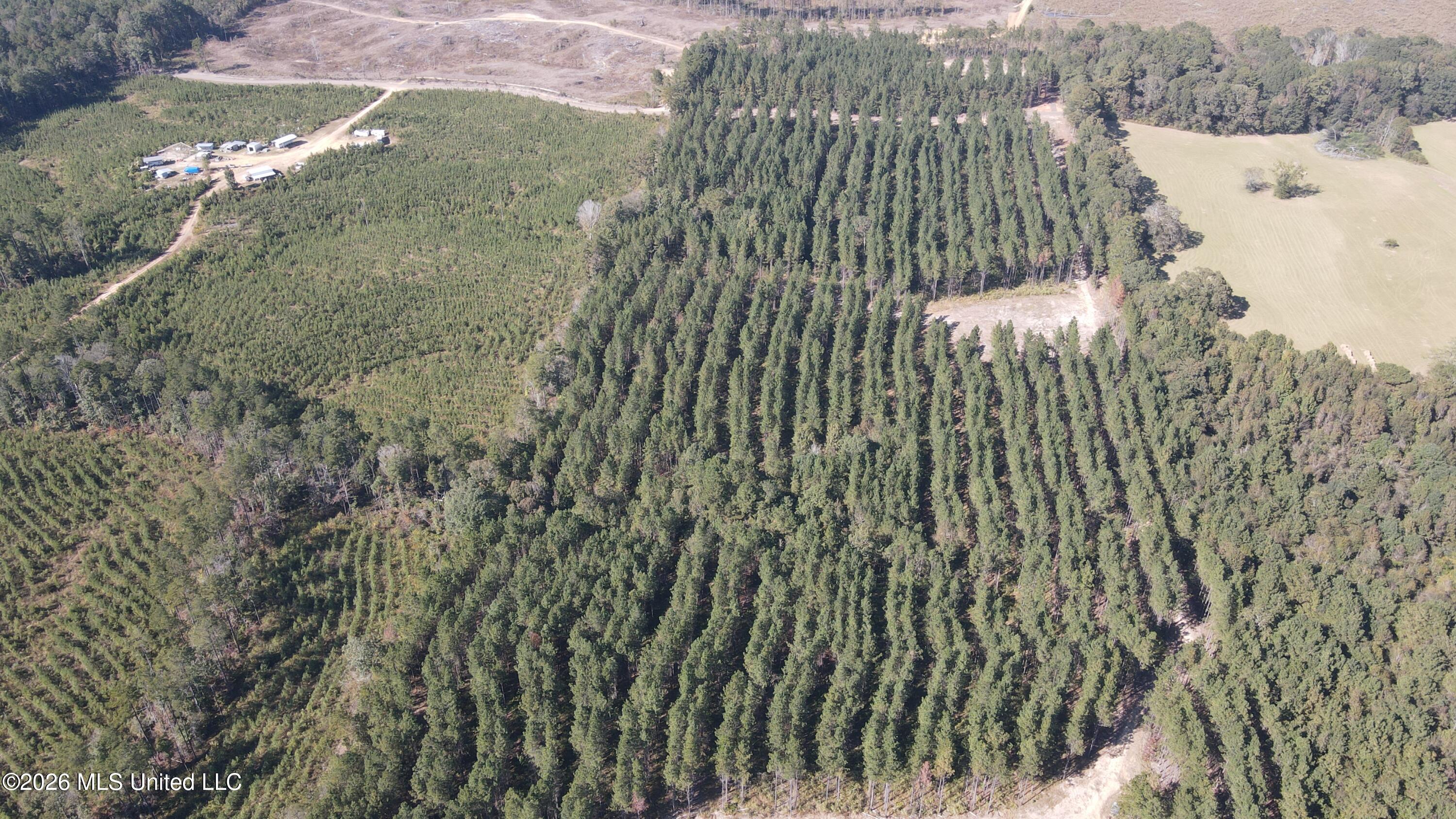 Loyd Irby Road Pelahatchie, MS 39145 - Photo 23 of 30 DJI_0213