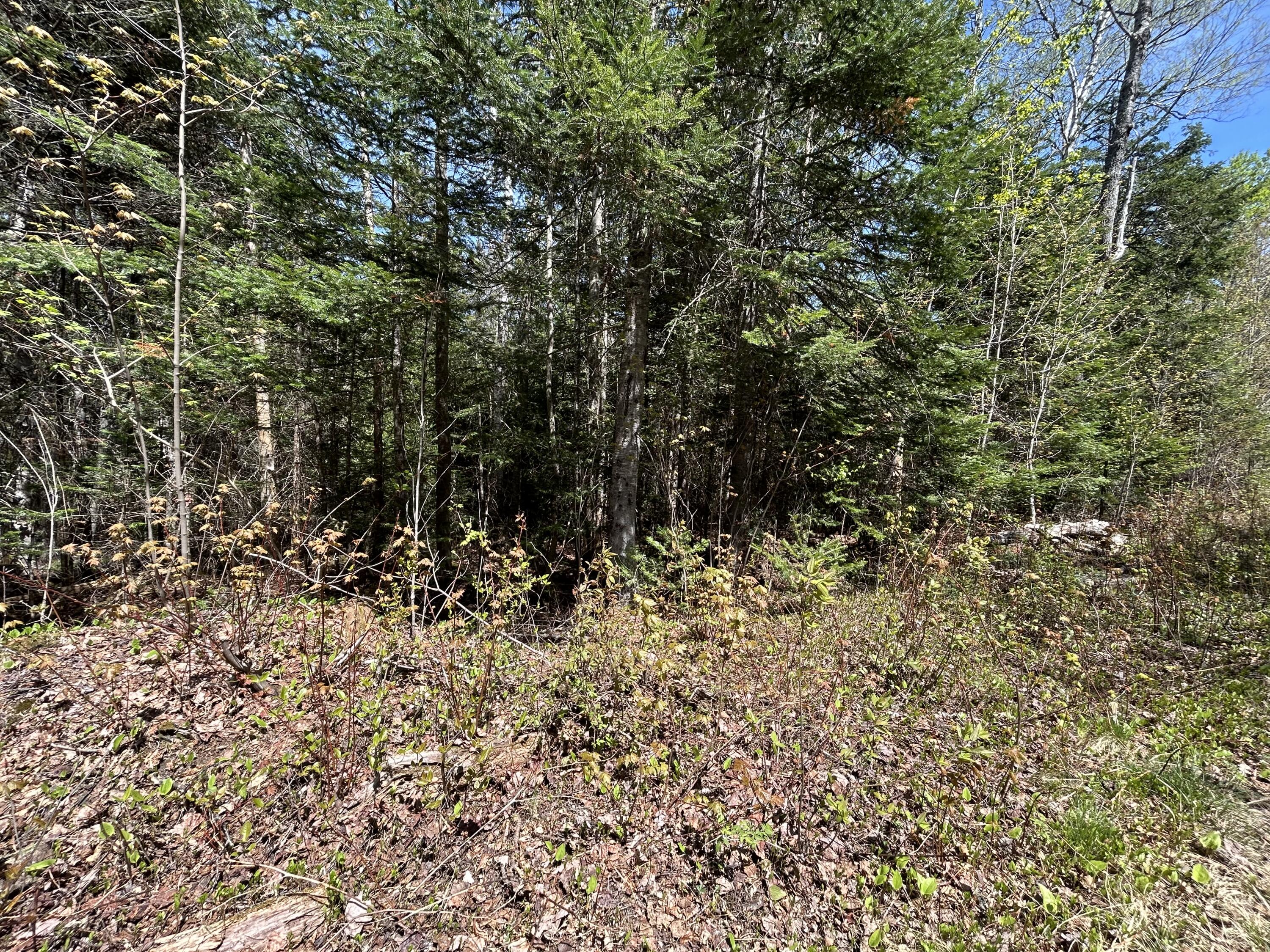 M17-l52-1 Stinchfield Road Sandy River Plt, ME 04970 - Photo 2 of 8 IMG_3430