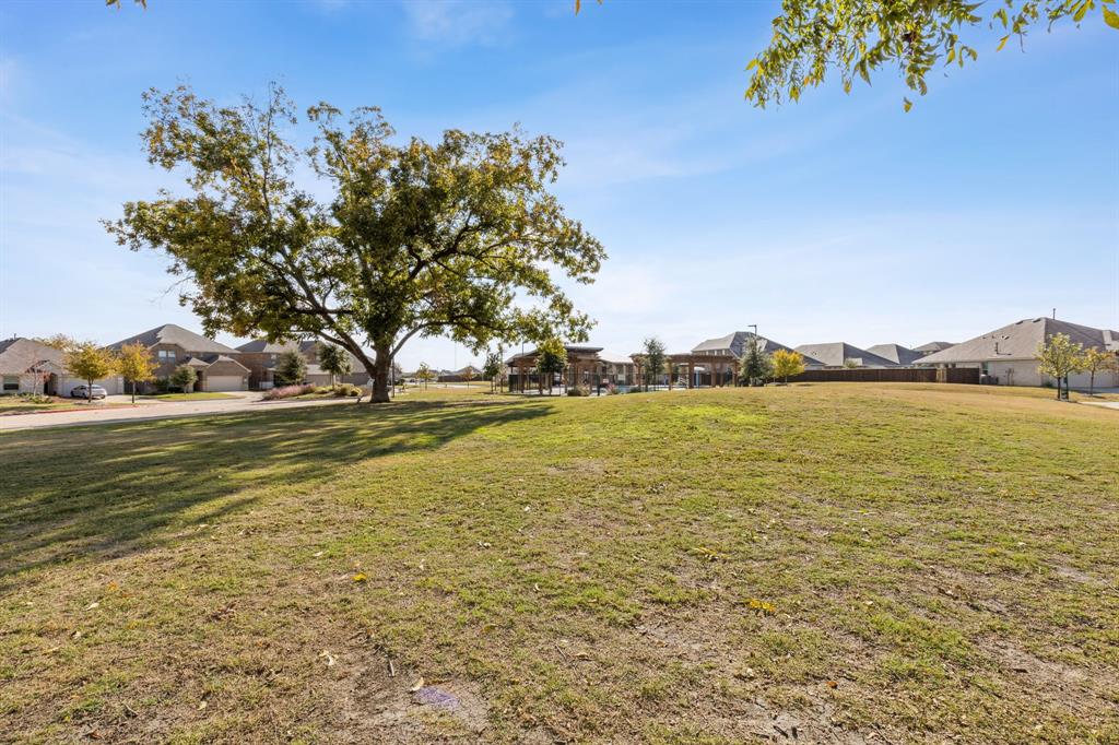5513 Berea Street Forney, TX 75126 - Photo 23 of 29 Plenty of wide open space to play.