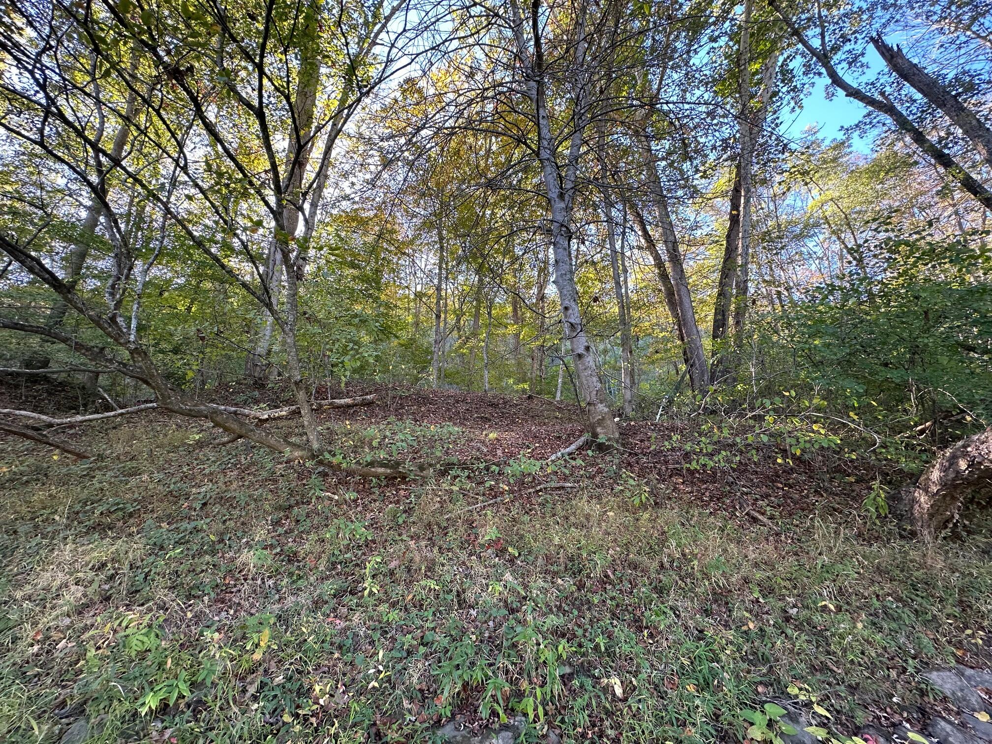 Tbd Keister Road Frankford, WV 24938 - Photo 2 of 40 Gallery Image 2