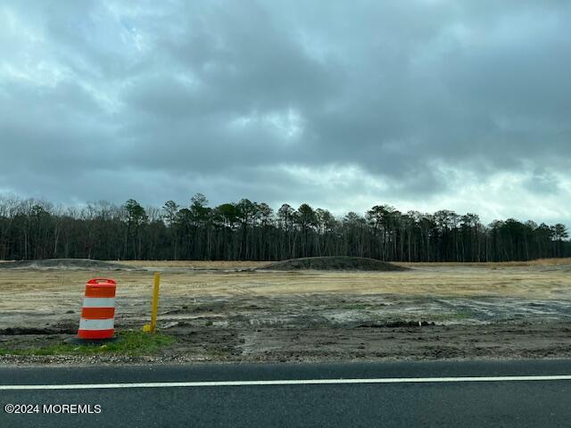 29 West Commodore Boulevard Jackson, NJ 08527 - Photo 2 of 6 IMG_0810