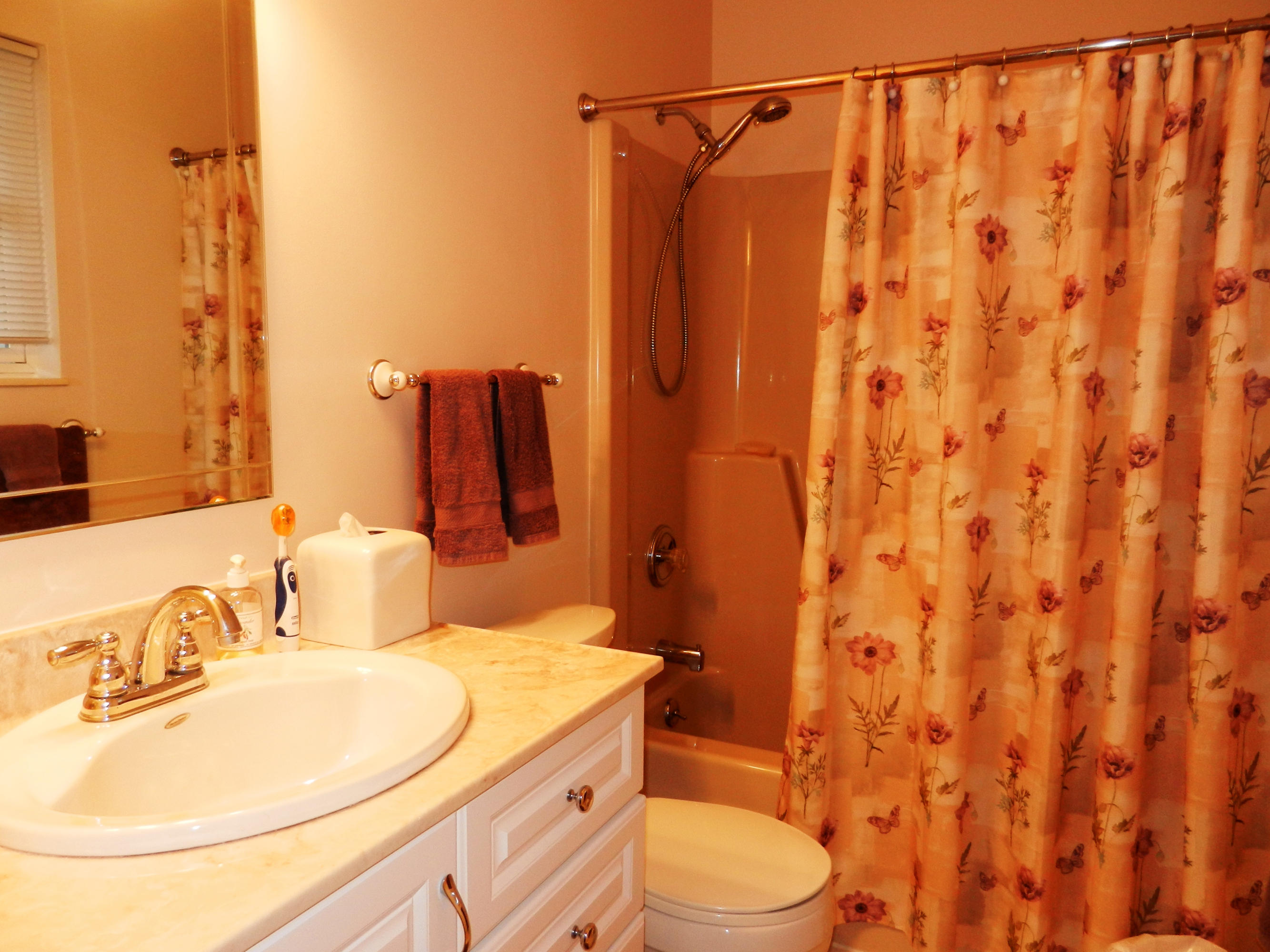 116 Tidewater Lane Oak Ridge, TN 37830 - Photo 15 of 35 New Vanity in Master Bath