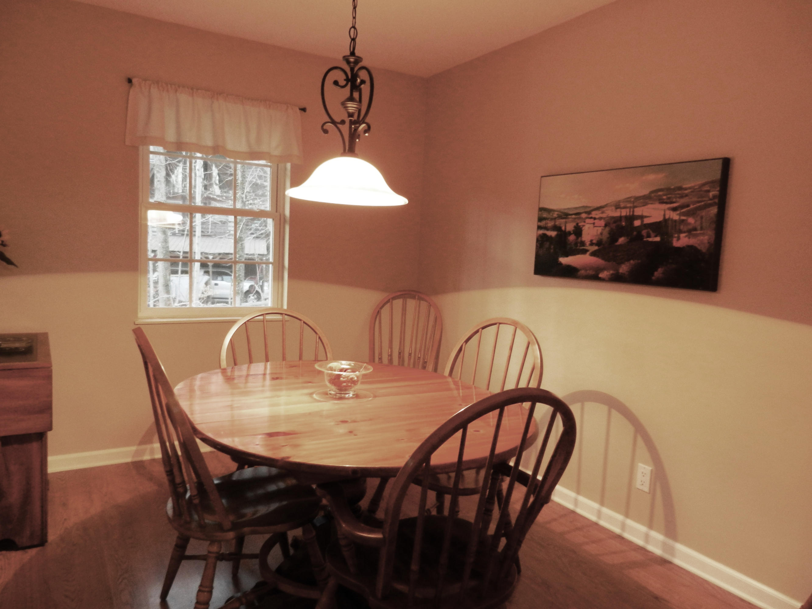 116 Tidewater Lane Oak Ridge, TN 37830 - Photo 21 of 35 New Light Fixture in Dining Room