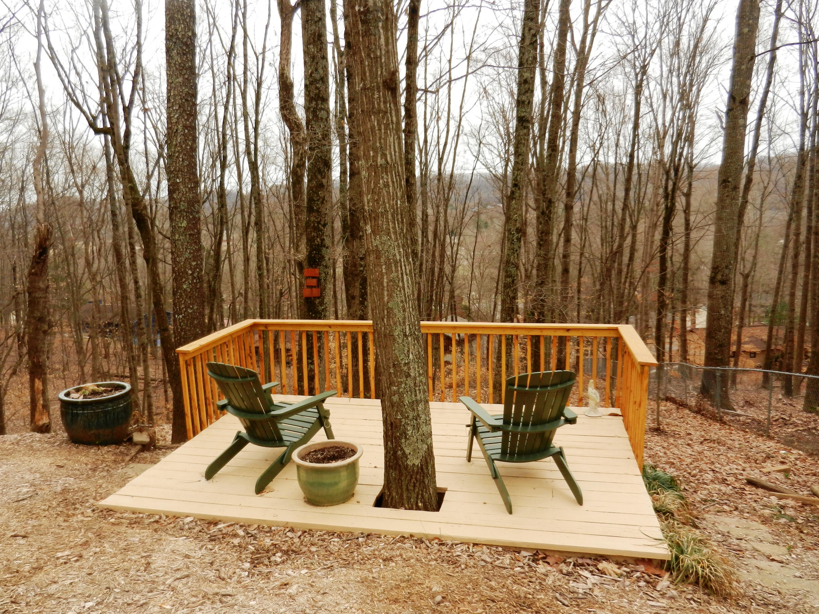 116 Tidewater Lane Oak Ridge, TN 37830 - Photo 27 of 35 Serenity!