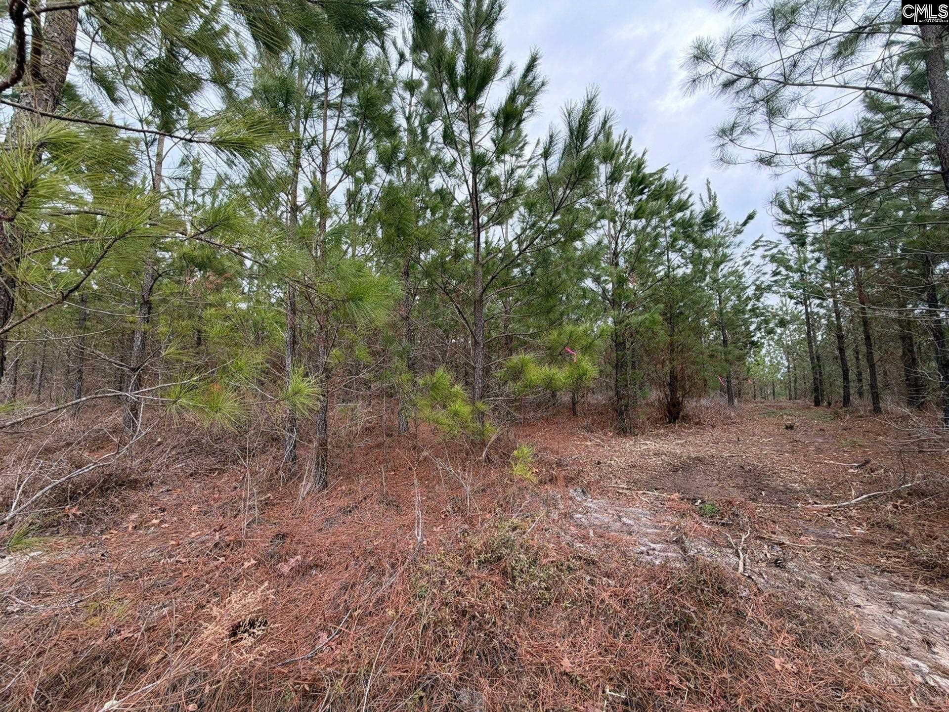 3 Jc Barefoot Road, Unit BFF II 3 Patrick, SC 29584 - Photo 19 of 23