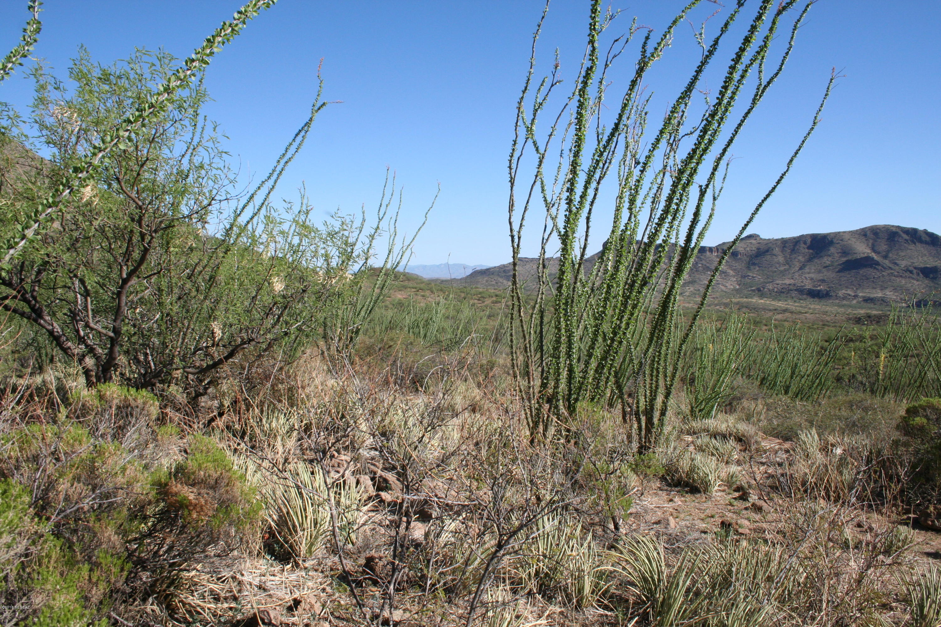 37 Copper Canyon Road, Unit 140 Rio Rico, AZ 85648 - Photo 7 of 17 IMG_9447