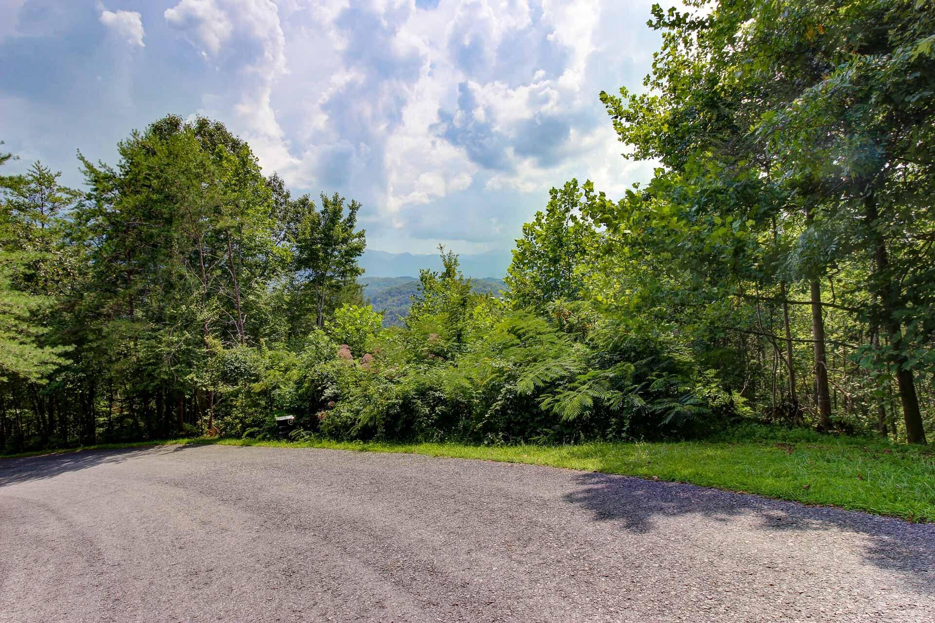 3334 Riversong Way Sevierville, TN 37876 - Photo 1 of 9 Gallery Image 1