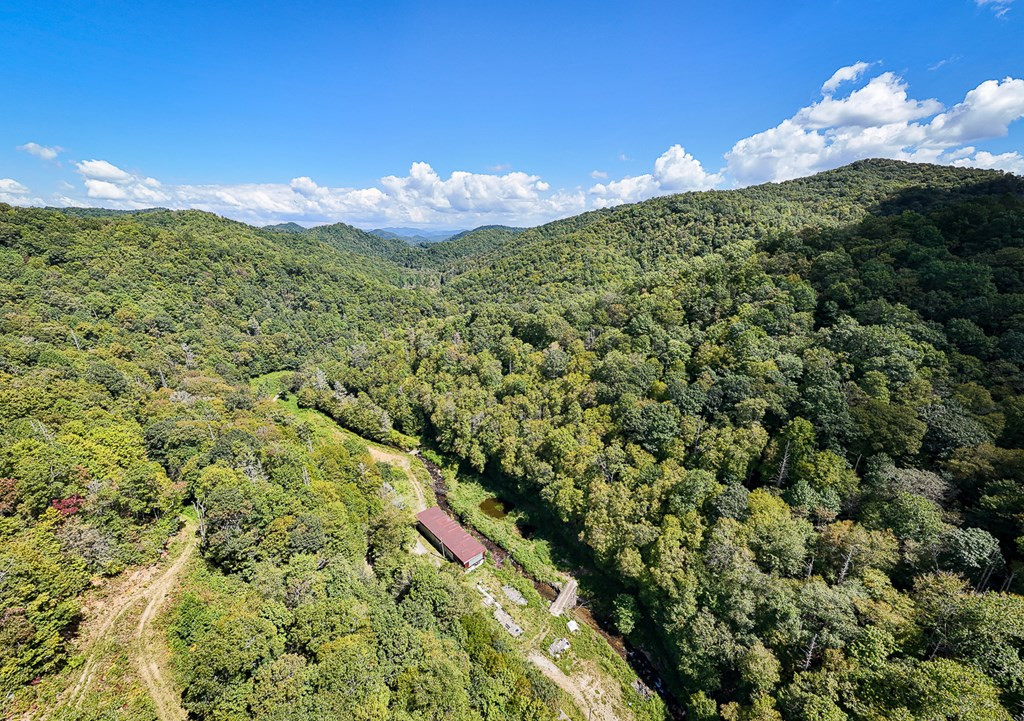 9765 Little Snowbird Road Robbinsville, NC 28771 - Photo 13 of 34