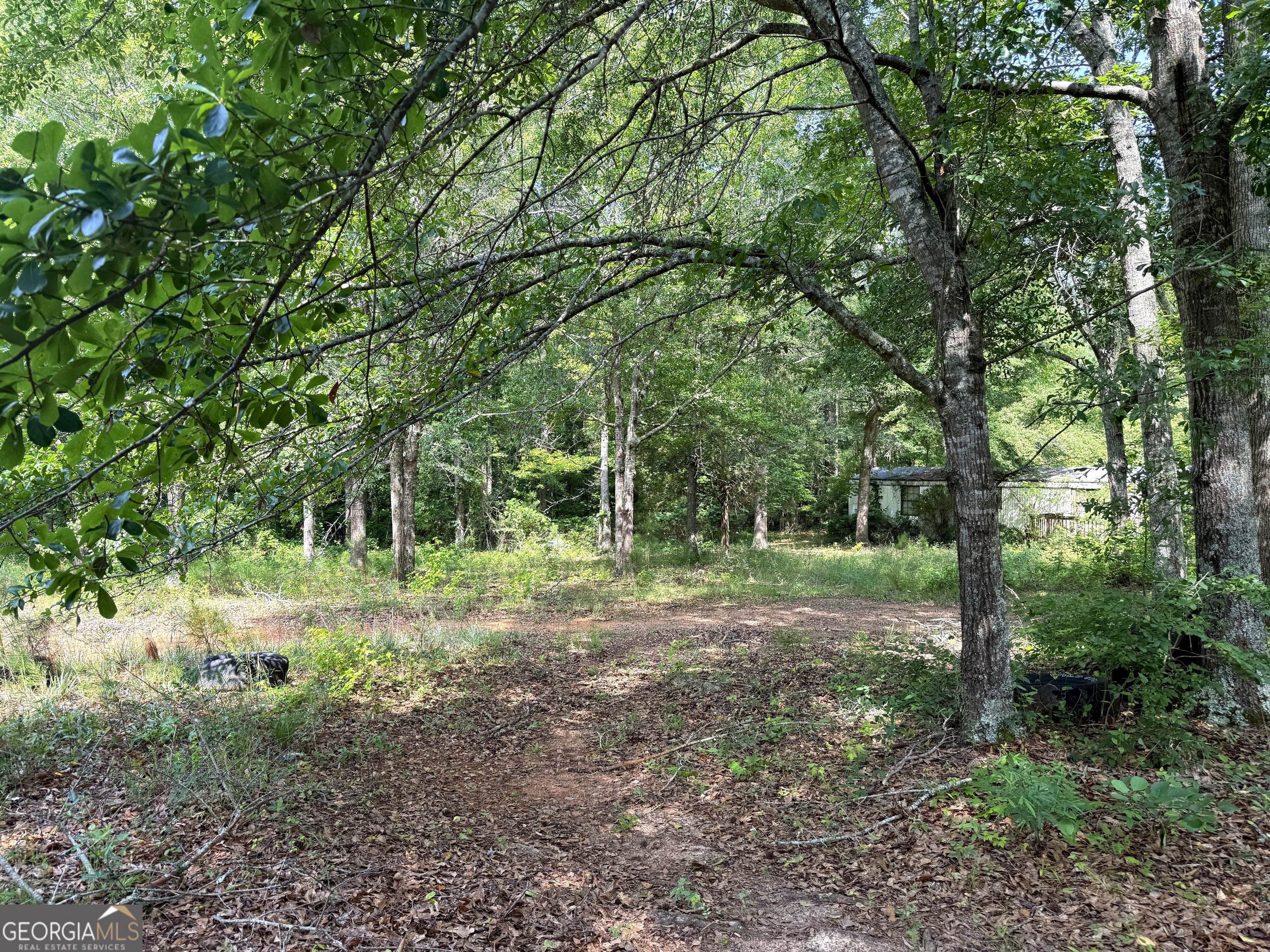 2391 Chalybeate Road Manchester, GA 31816 - Photo 8 of 15 a view of outdoor space with trees