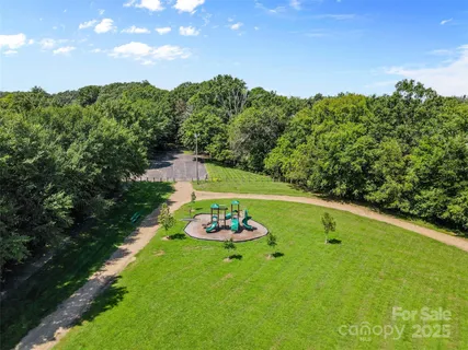 a green field with lots of bushes