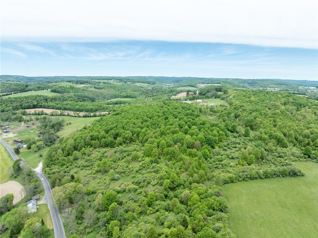 Bell Road New Berlin, NY 13411 - Photo 10 of 11