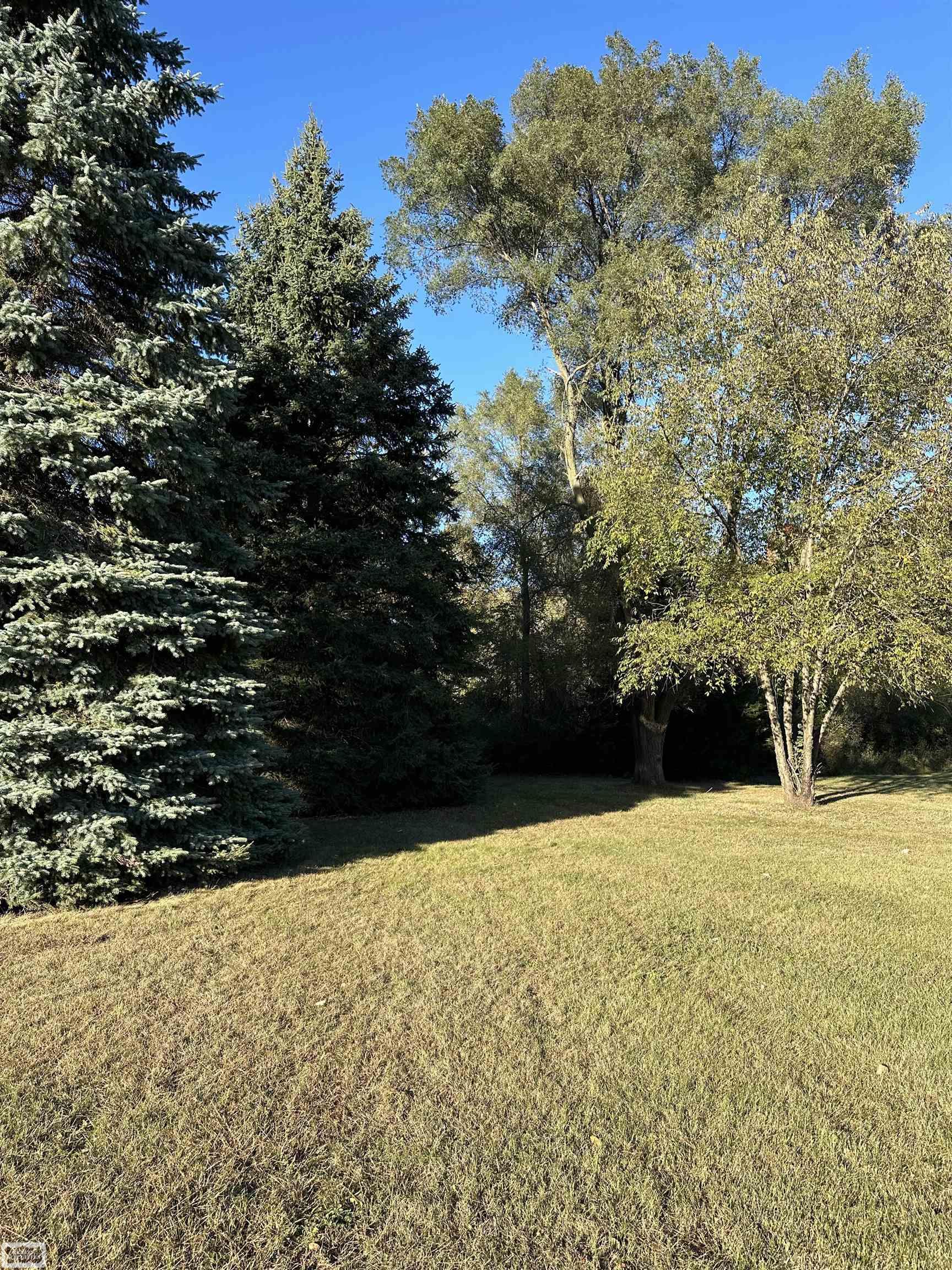 66970 Powell Road Washington, MI 48095 - Photo 3 of 4