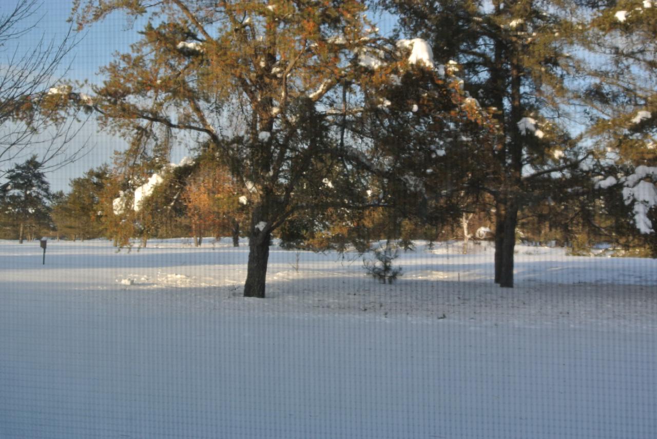 7304 Deerwood Road, Unit 7 Minocqua, WI 54548 - Photo 35 of 70 Gallery Image 35