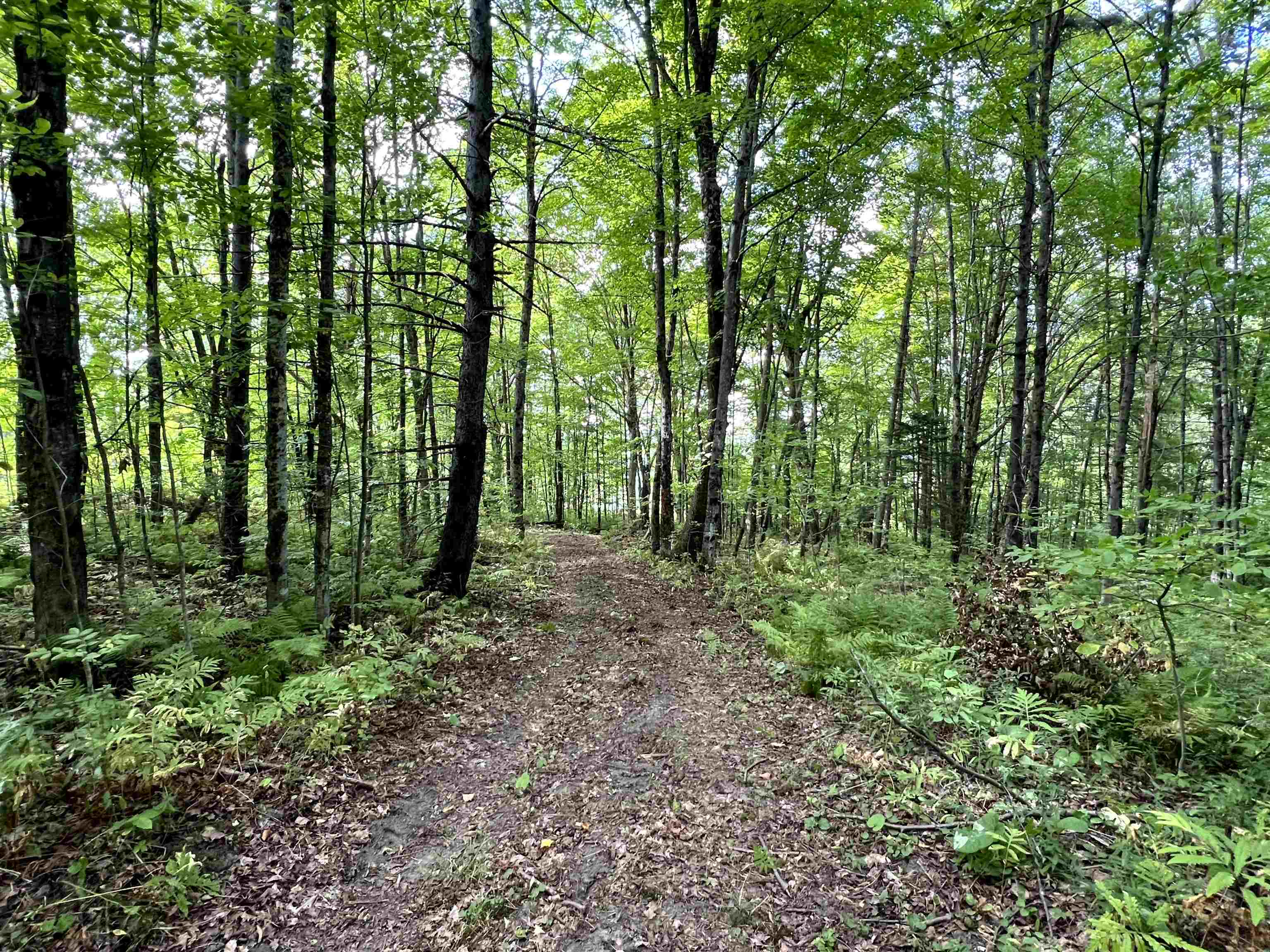 0 Danville Hill Road Cabot, VT 05647 - Photo 2 of 6