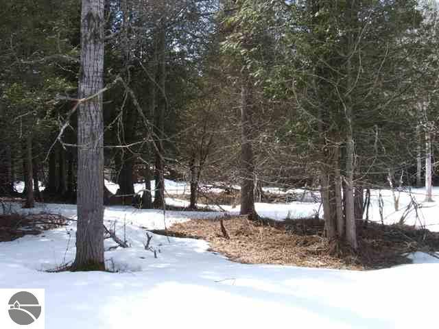1669 West River Road Traverse City, MI 49696 - Photo 11 of 13 1702457-10.JPG