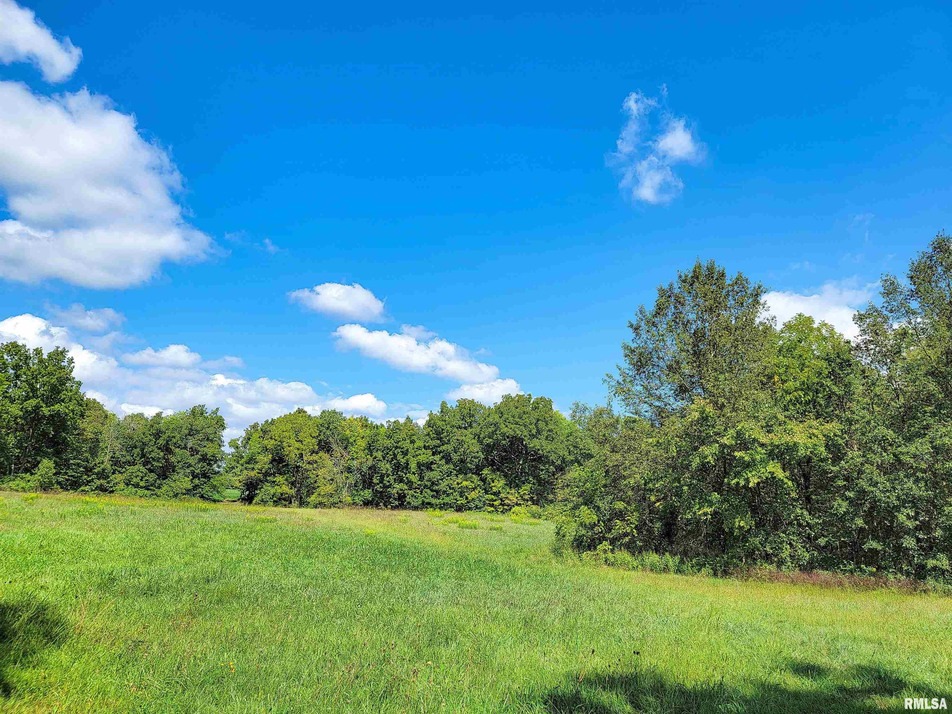 0 Bobwhite Road Louisville, IL 62858 - Photo 1 of 14 Gallery Image 1