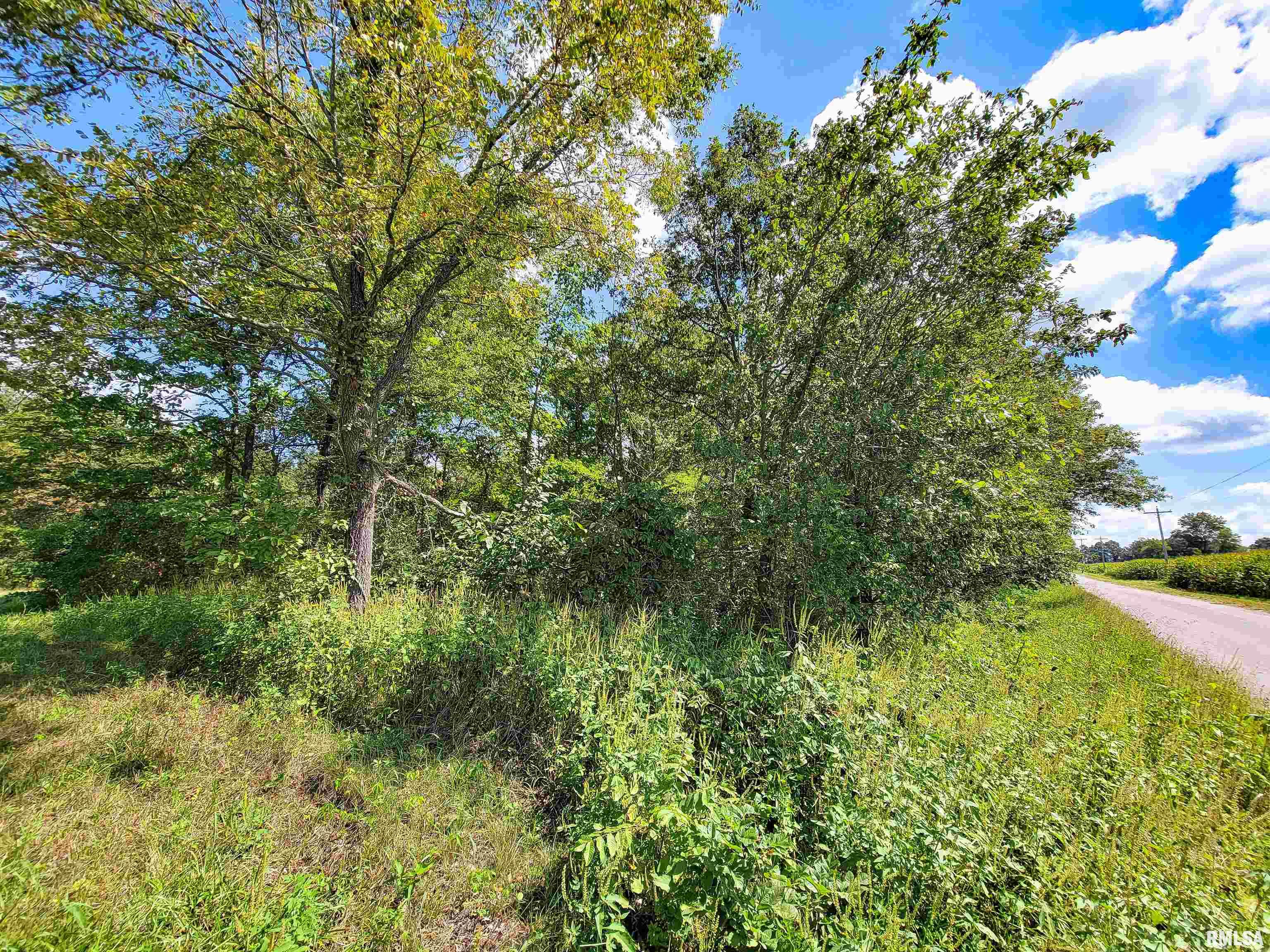 0 Bobwhite Road Louisville, IL 62858 - Photo 13 of 14 Gallery Image 13