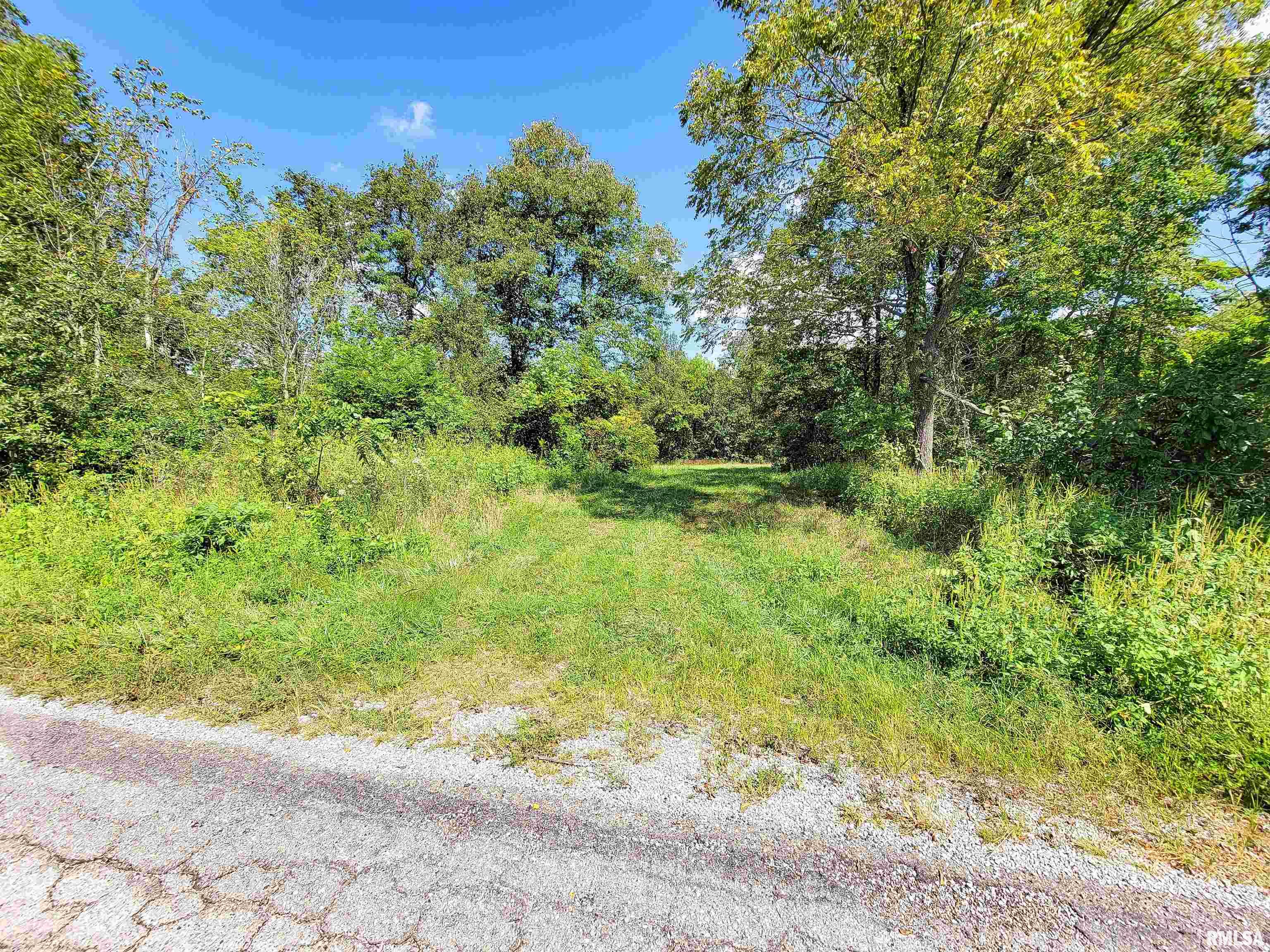 0 Bobwhite Road Louisville, IL 62858 - Photo 3 of 14 Gallery Image 3
