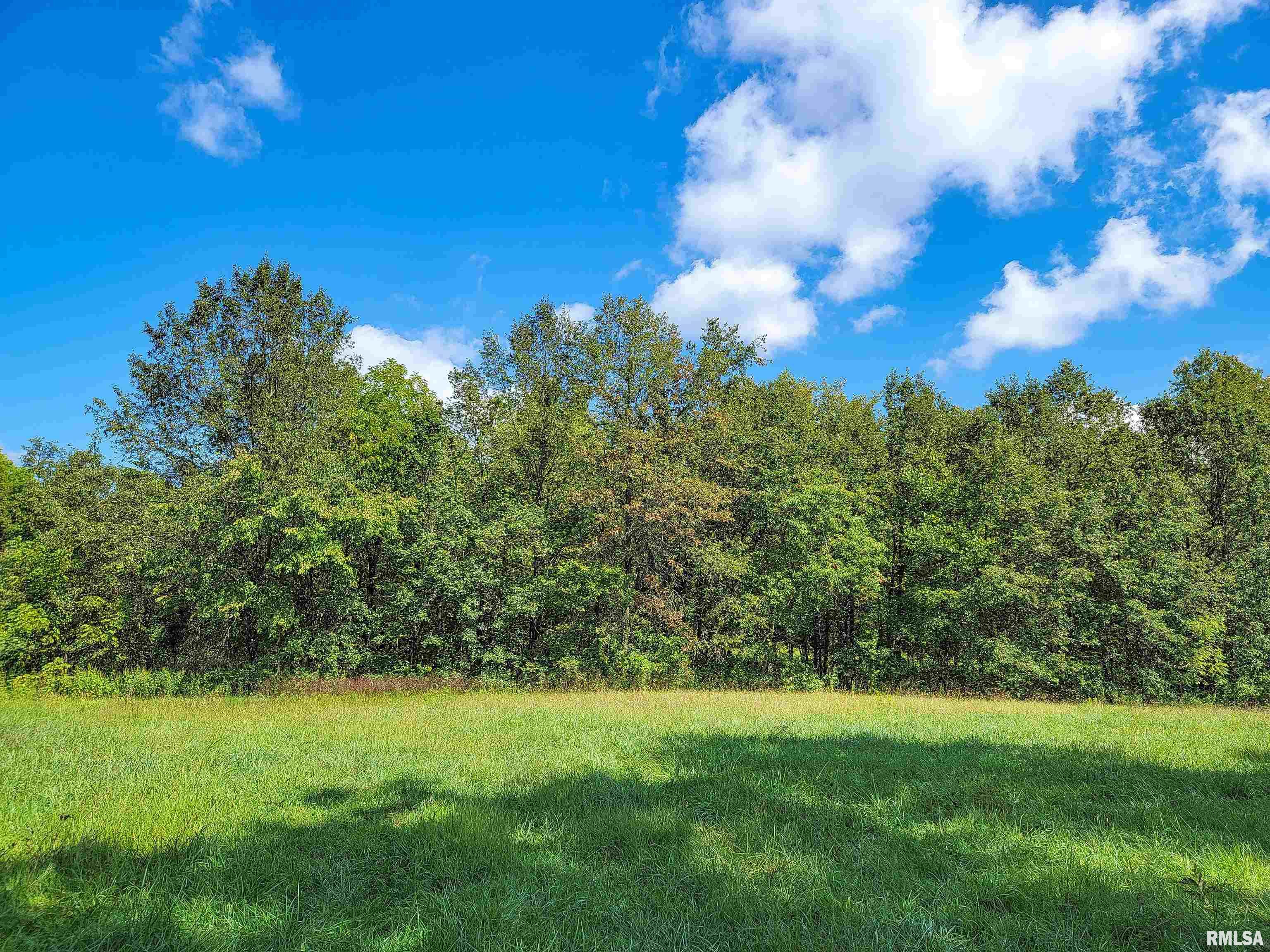 0 Bobwhite Road Louisville, IL 62858 - Photo 4 of 14 Gallery Image 4