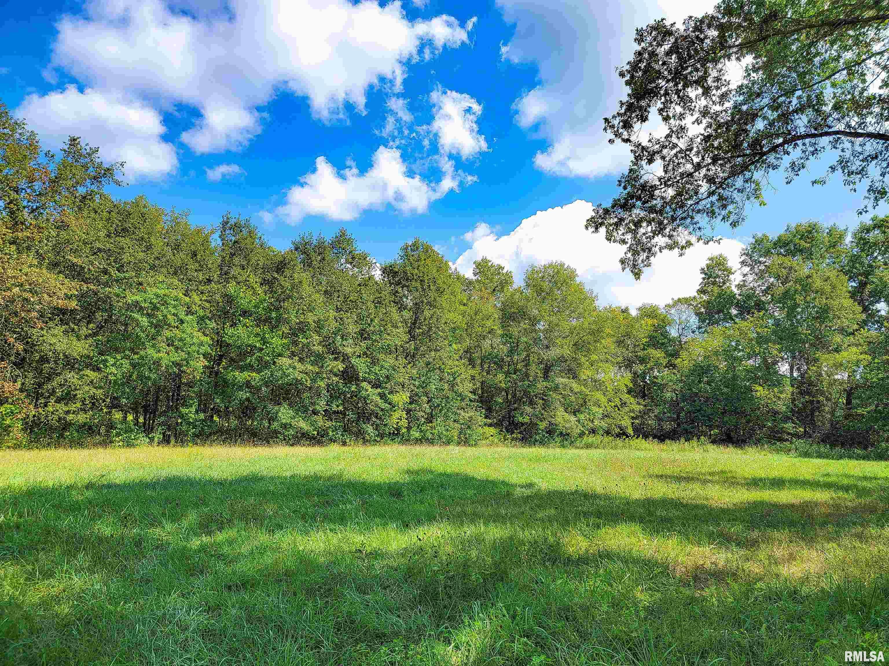 0 Bobwhite Road Louisville, IL 62858 - Photo 5 of 14 Gallery Image 5